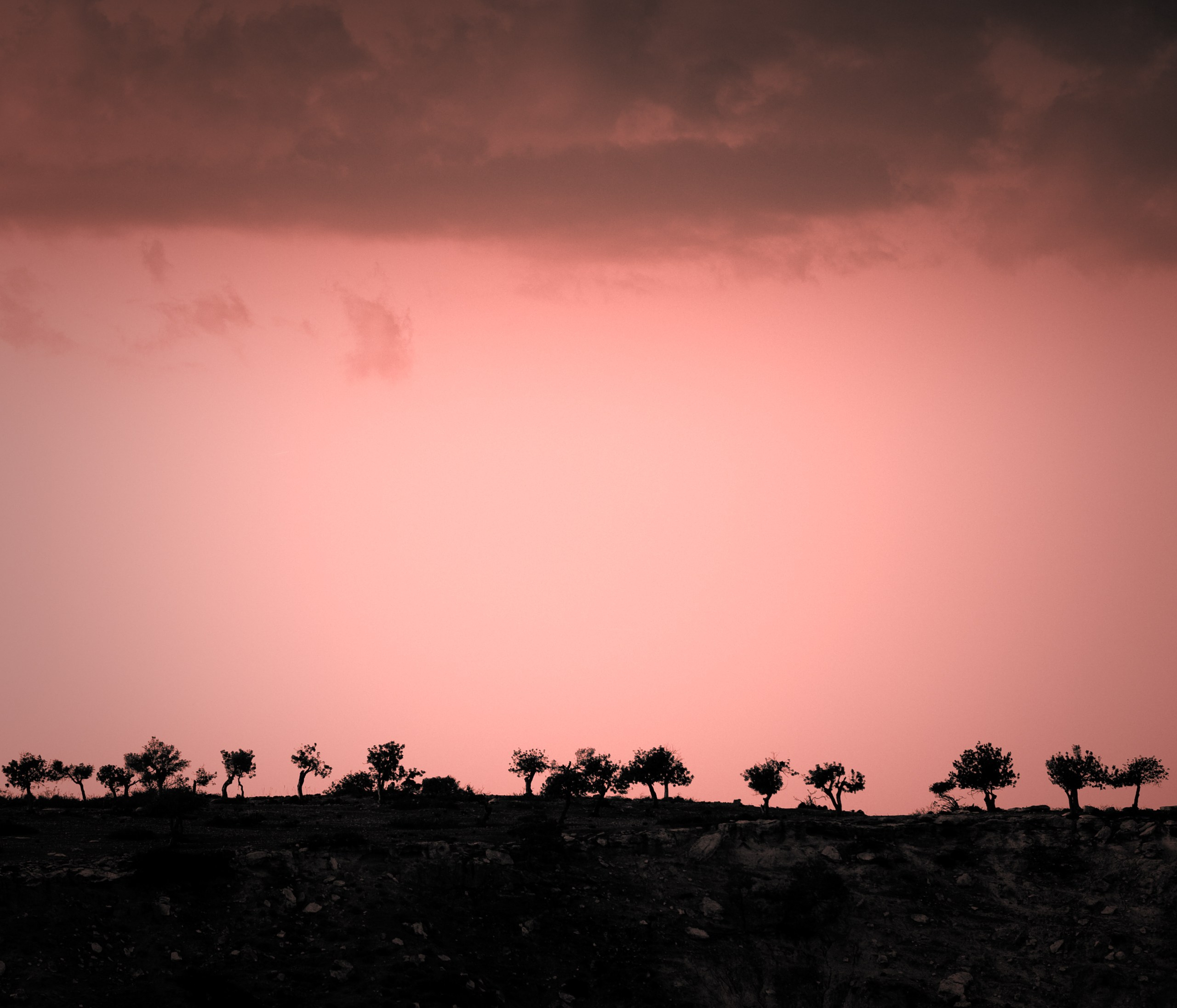 Пейзажная фотография. Авторские стильные фотокартины