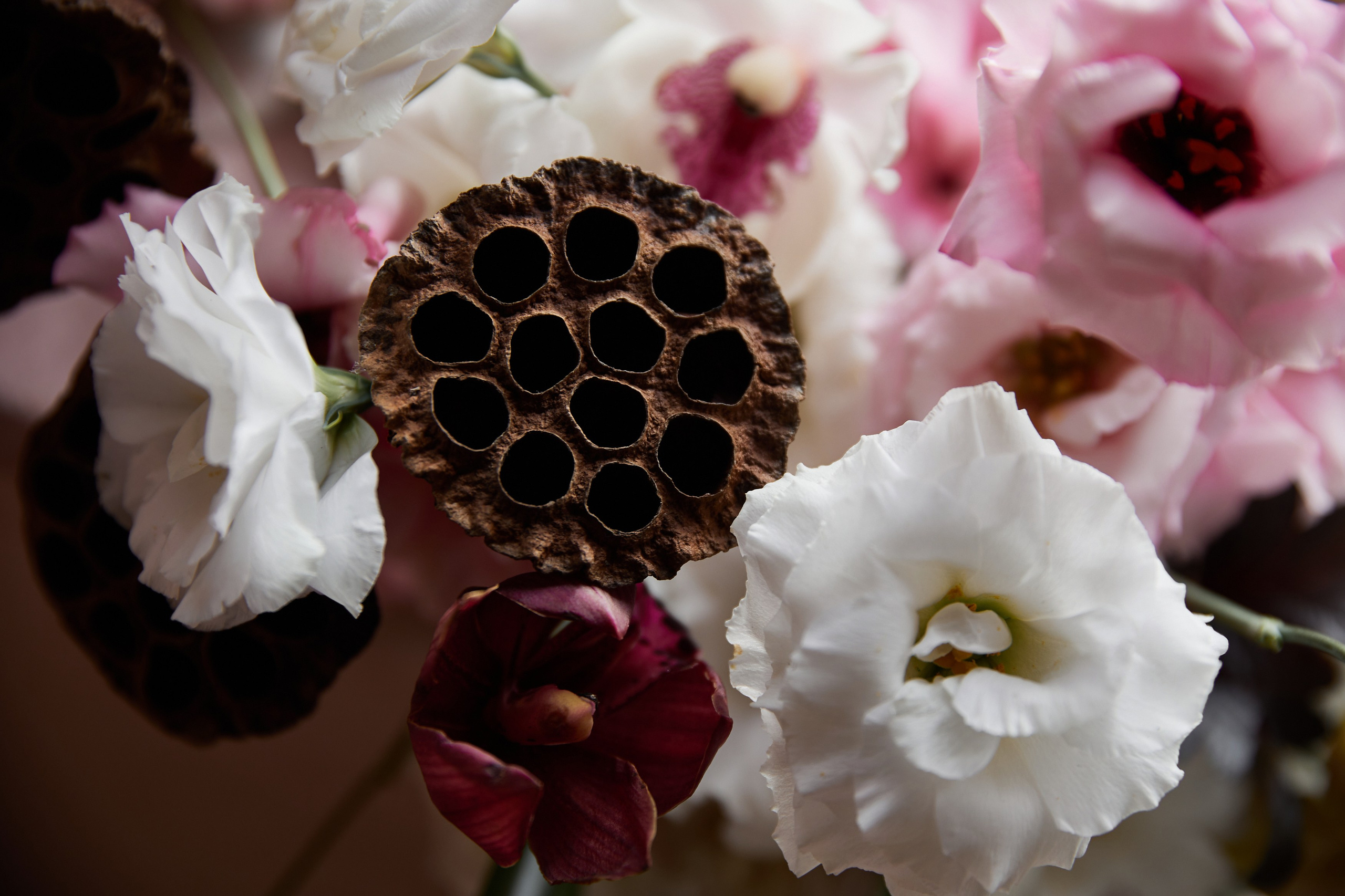 Алина и Сергей. Свадебный фотограф Москва Калуга