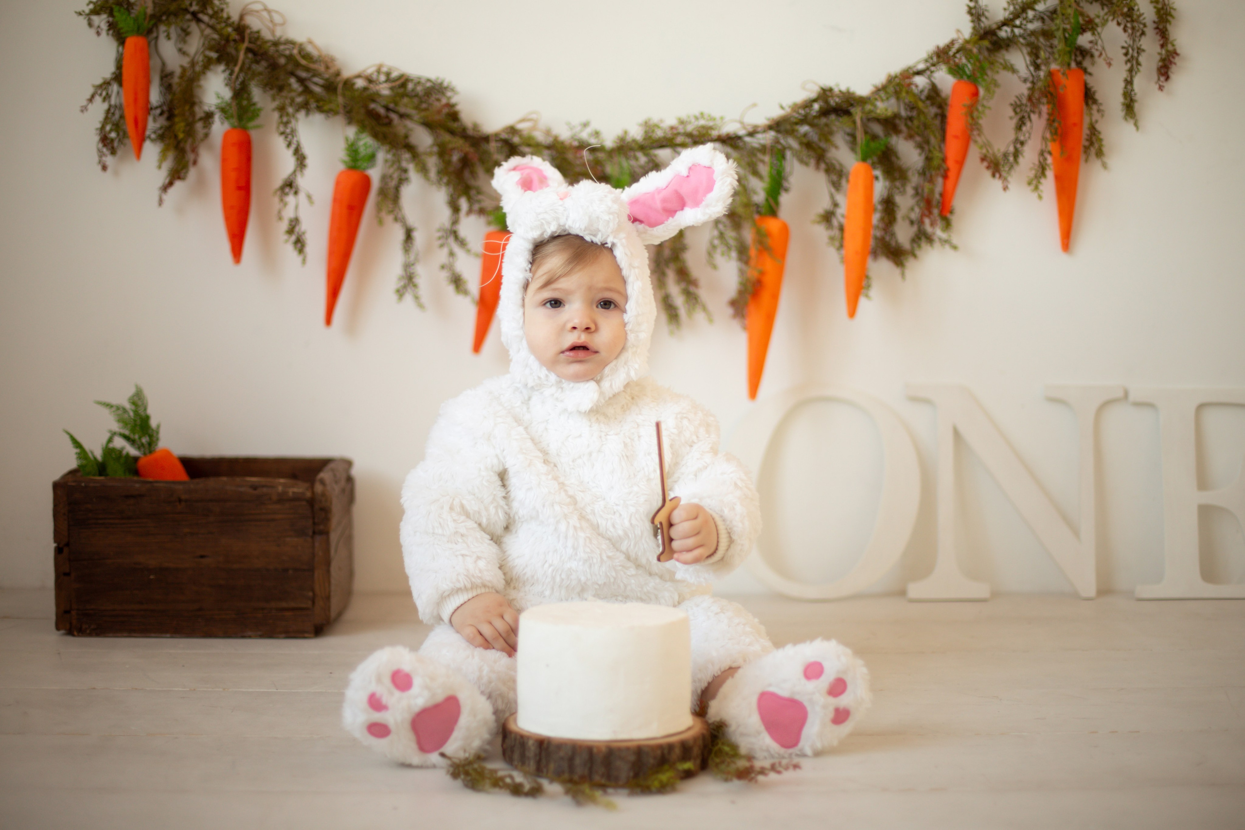 Годовасие. Фотограф Мытищи-Москва Мария Апреликова