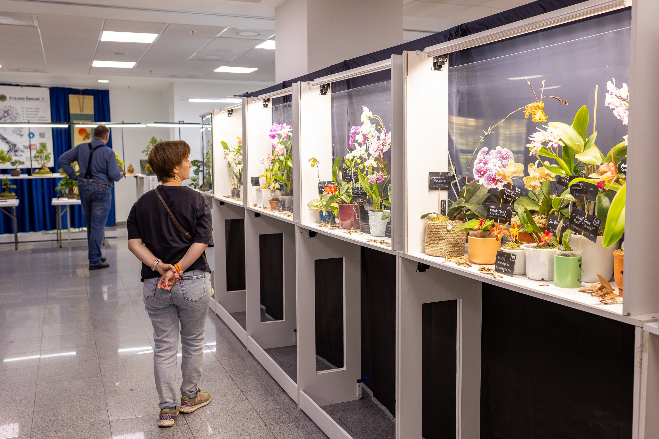 Орхидиум сентябрь 2025. Александра Куликова фотограф, Москва