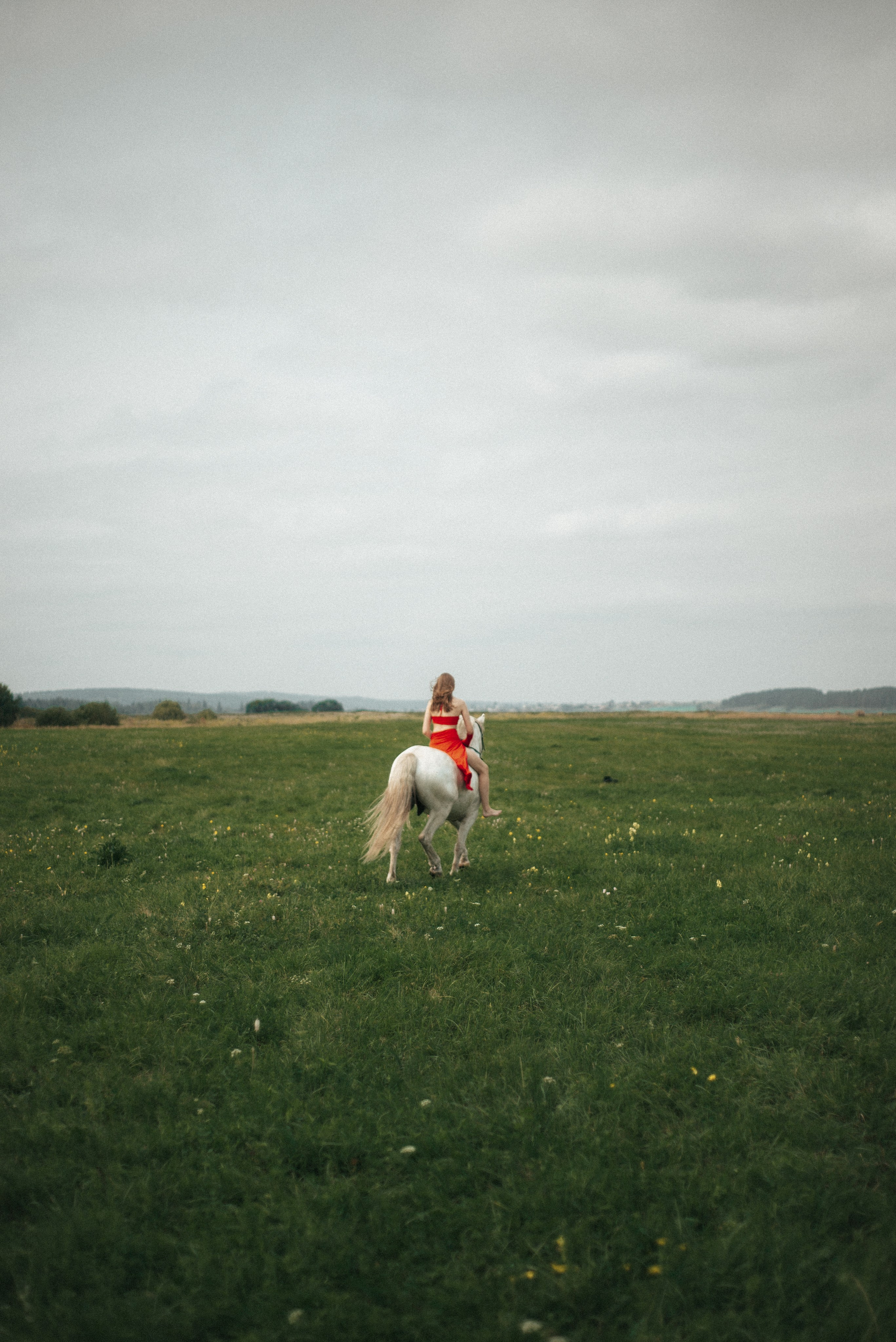 Horse. Фотограф