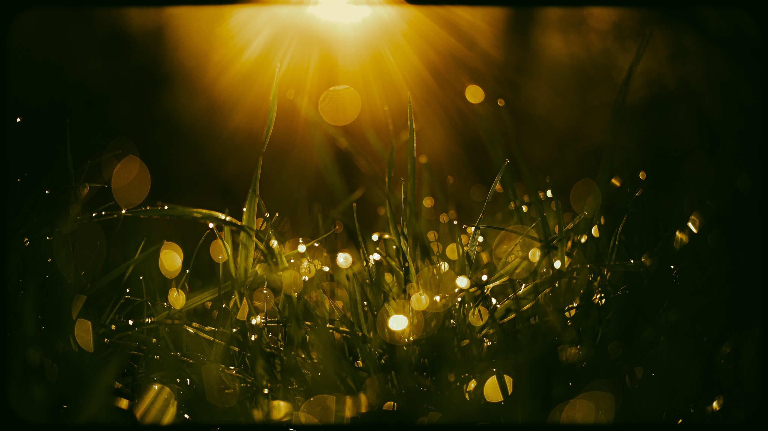 Wallpapers. Фотограф Казань