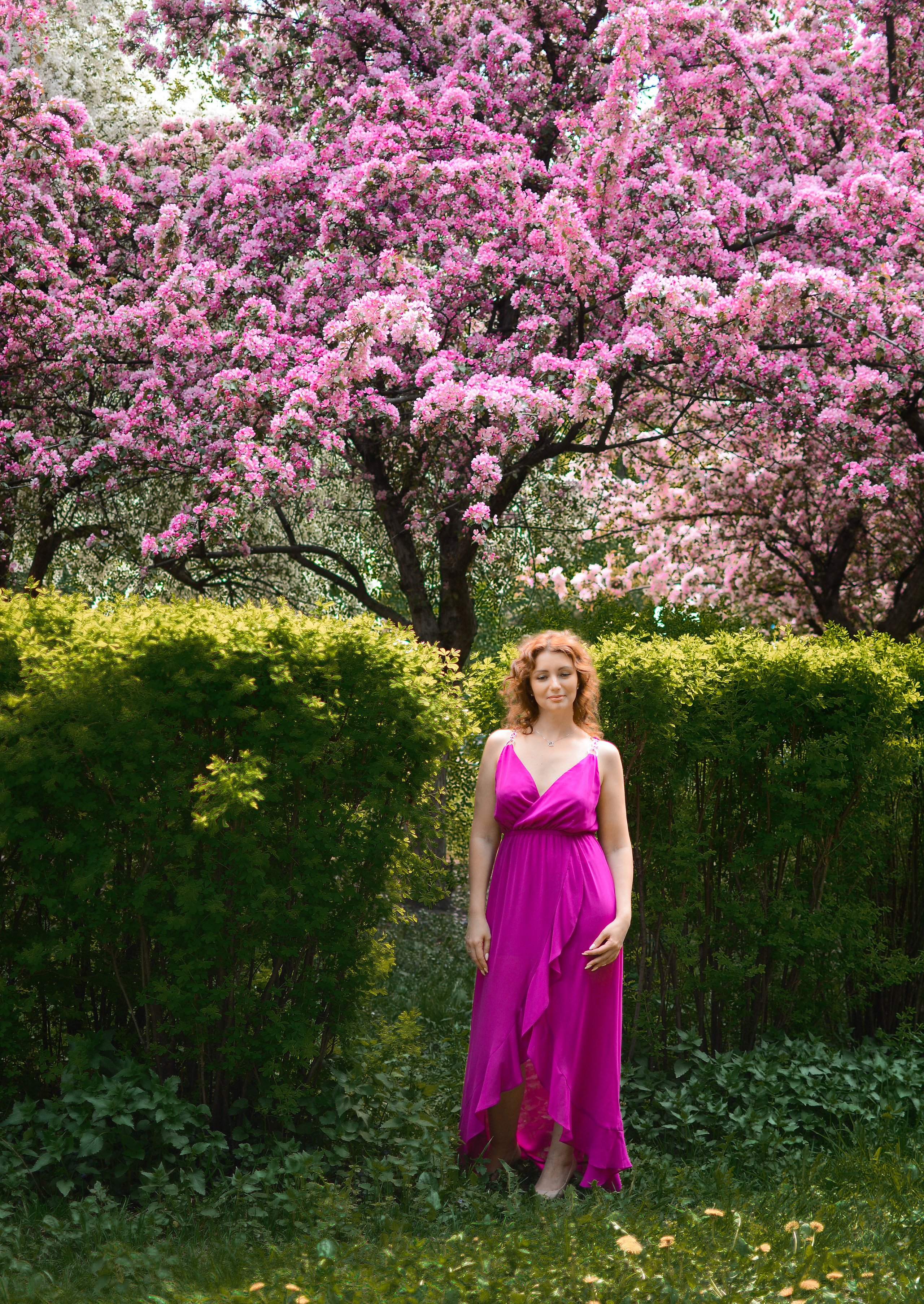 Фотосессия в цветах. Семейный фотограф