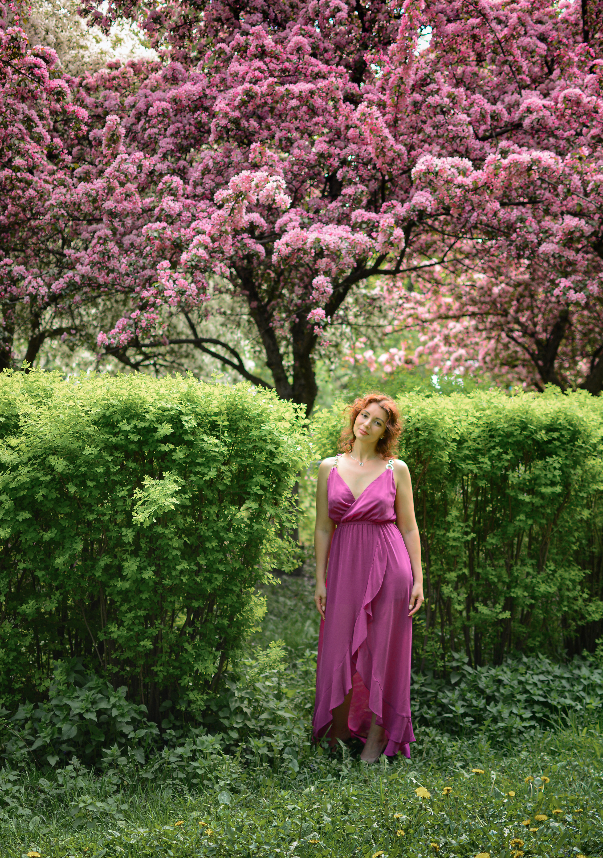 Фотосессия в цветах. Семейный фотограф