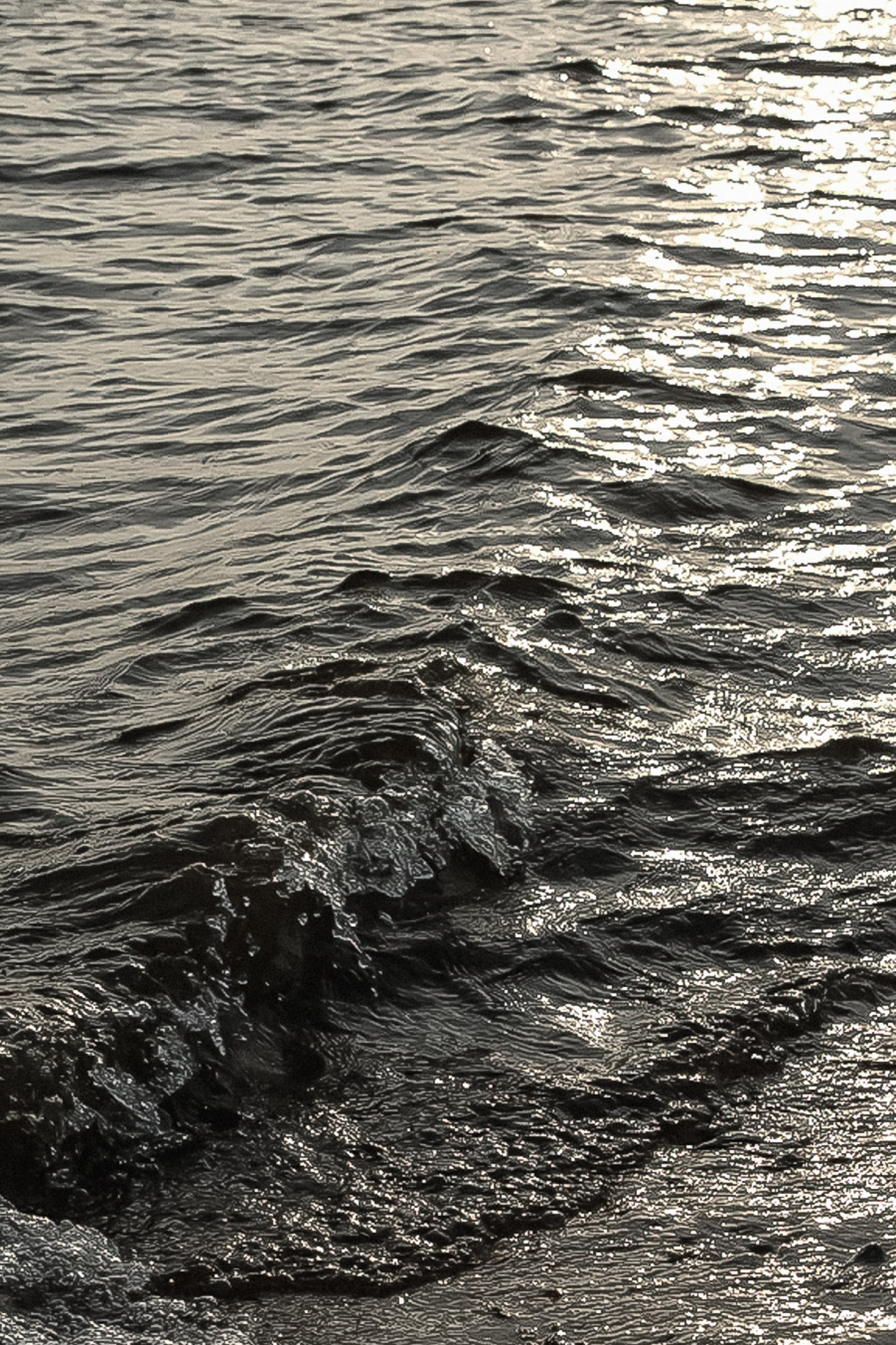 Wedding day Гриша & Мария. Свадебный фотограф Колесников Антон