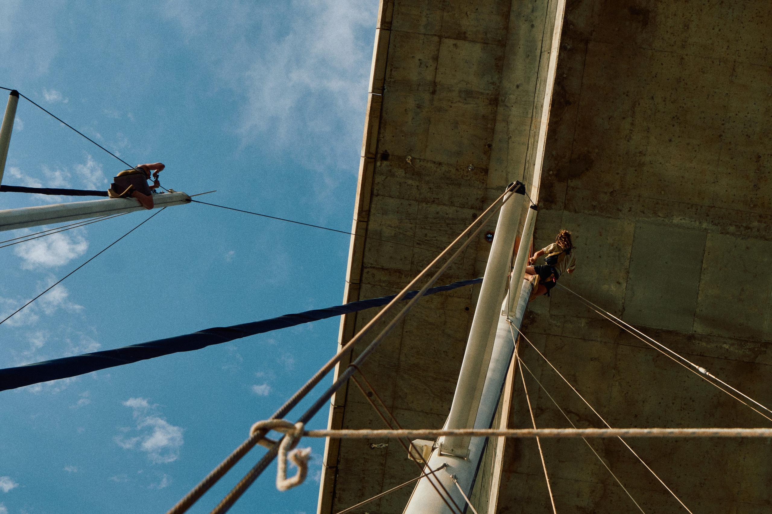 Gambia River. See the moment and catche. commercial and reportage