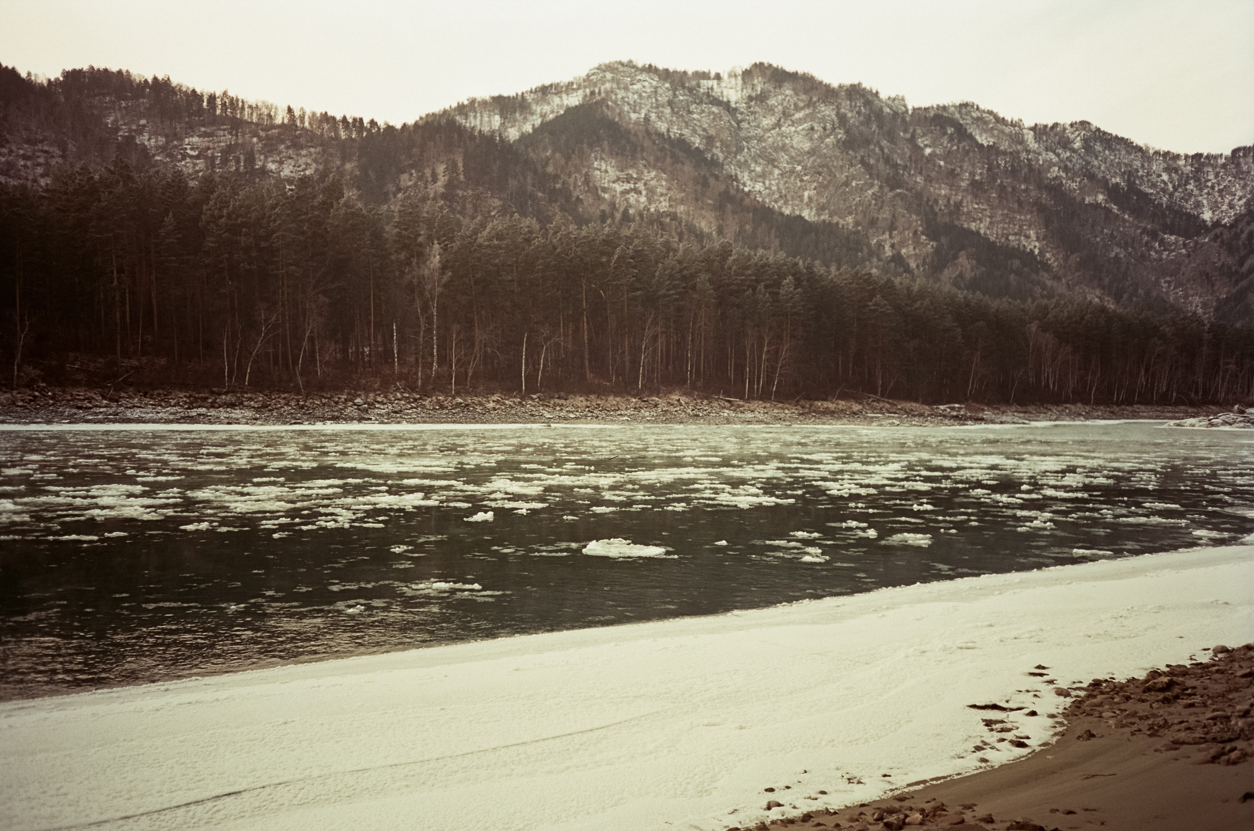 Кызыл-Таш и Семинская поляна. Катунь, пляж, мостки и сосны. Фотограф-документалист Мария Осокина