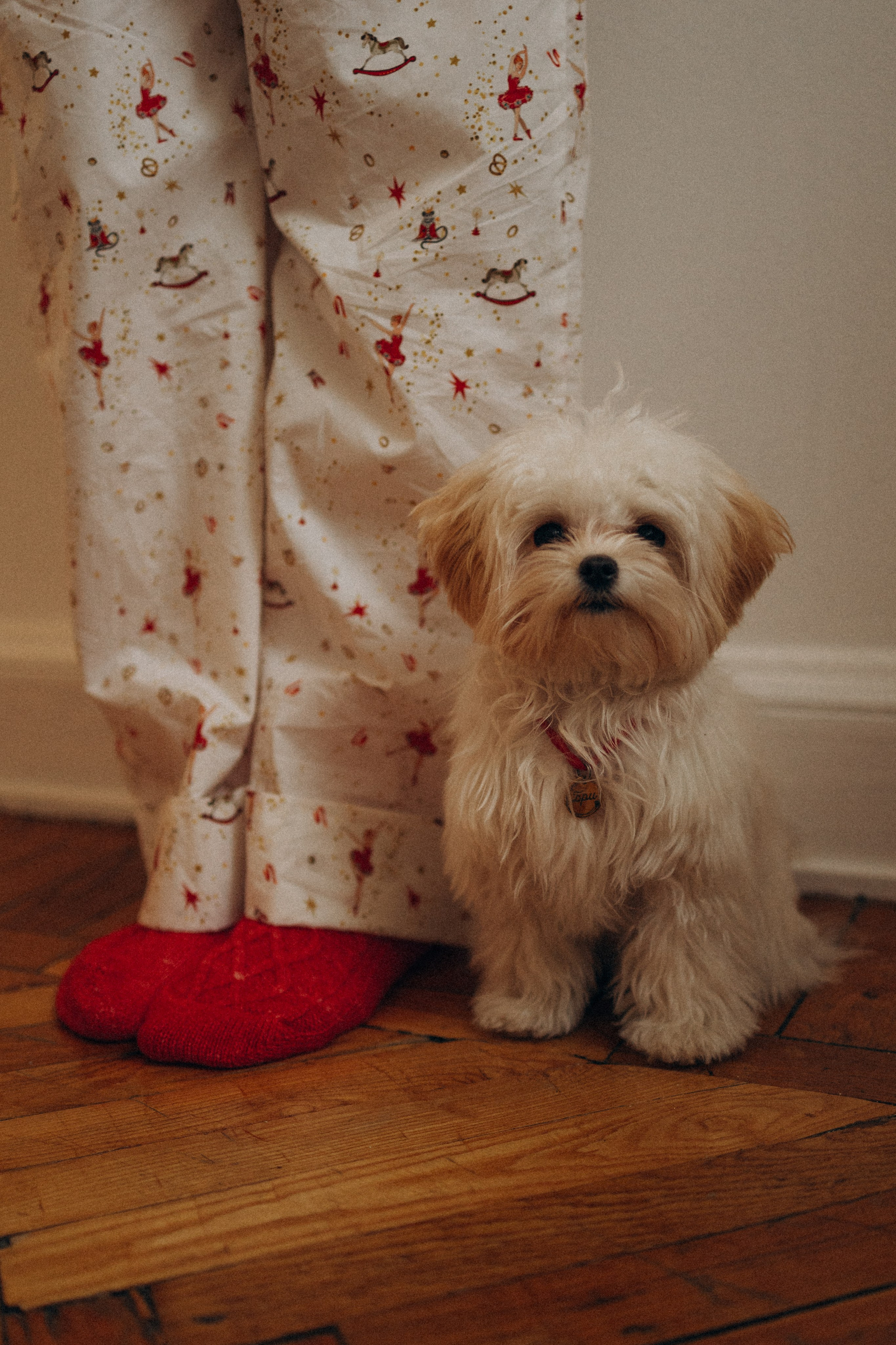 Оля и Бри. Фотораф — анималист Мария Шистка