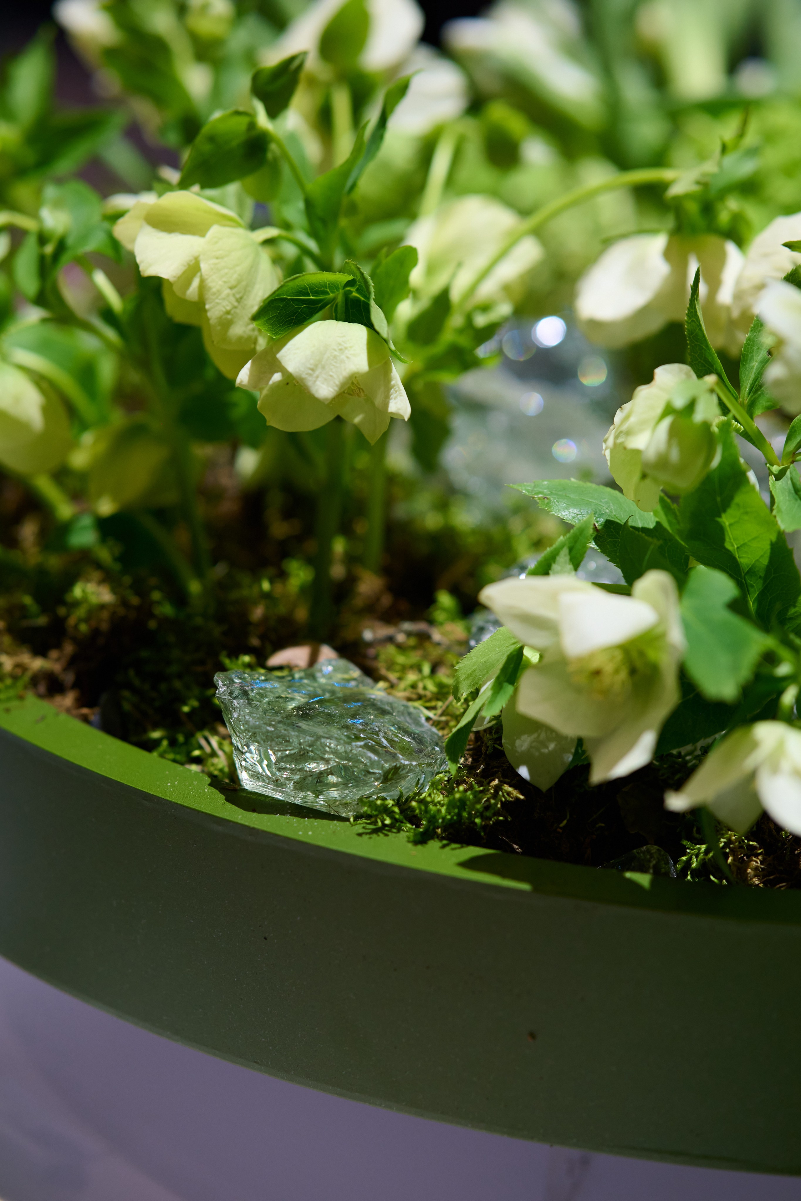 Весна. Репортажный фотограф в Москве и Санкт-Петербурге — Профессиональная съёмка мероприятий | Данила Золкин