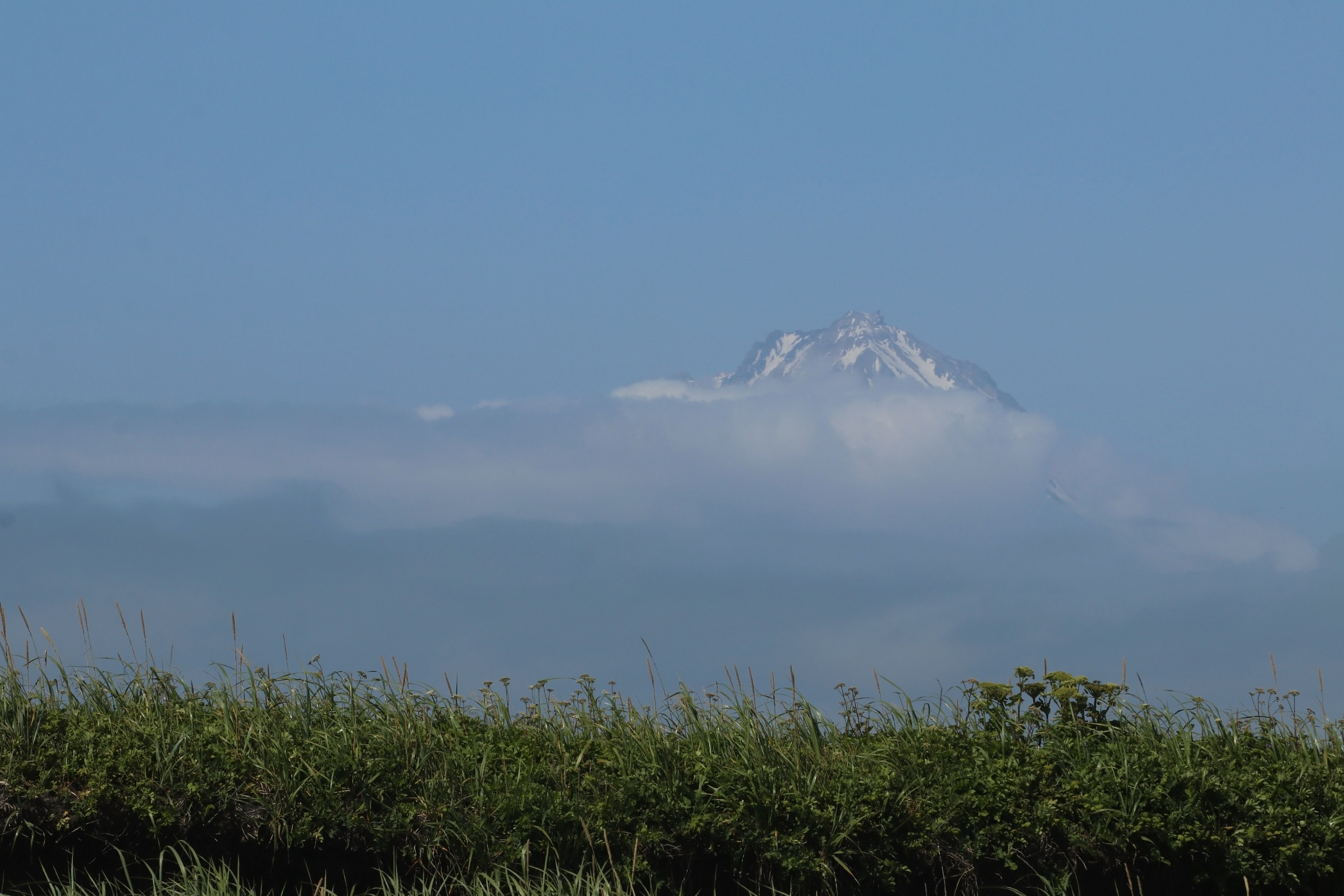 Камчатка и о. Парамушир. Июль 2024. Путешественник-фотограф из Санкт-Петербурга Татьяна Свистулина