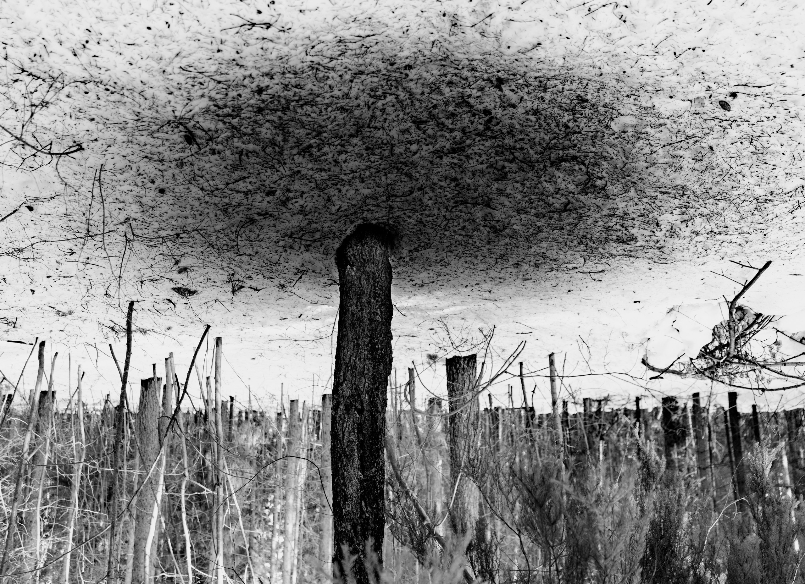 Формы. Фотограф Александр Тихонов