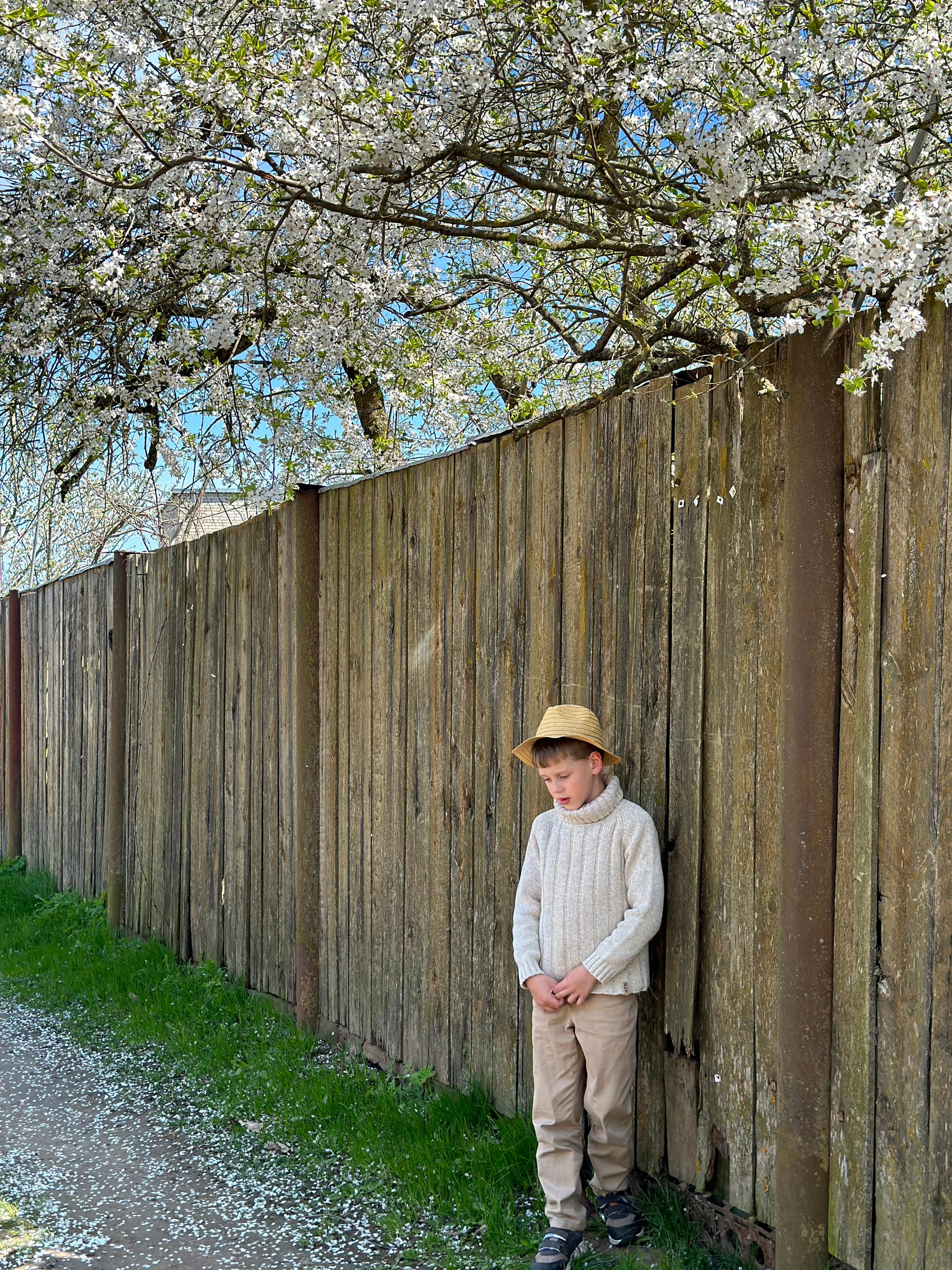 Стоимость и условия съемки. Семейный и детский фотограф в Минске Владыко Татьяна