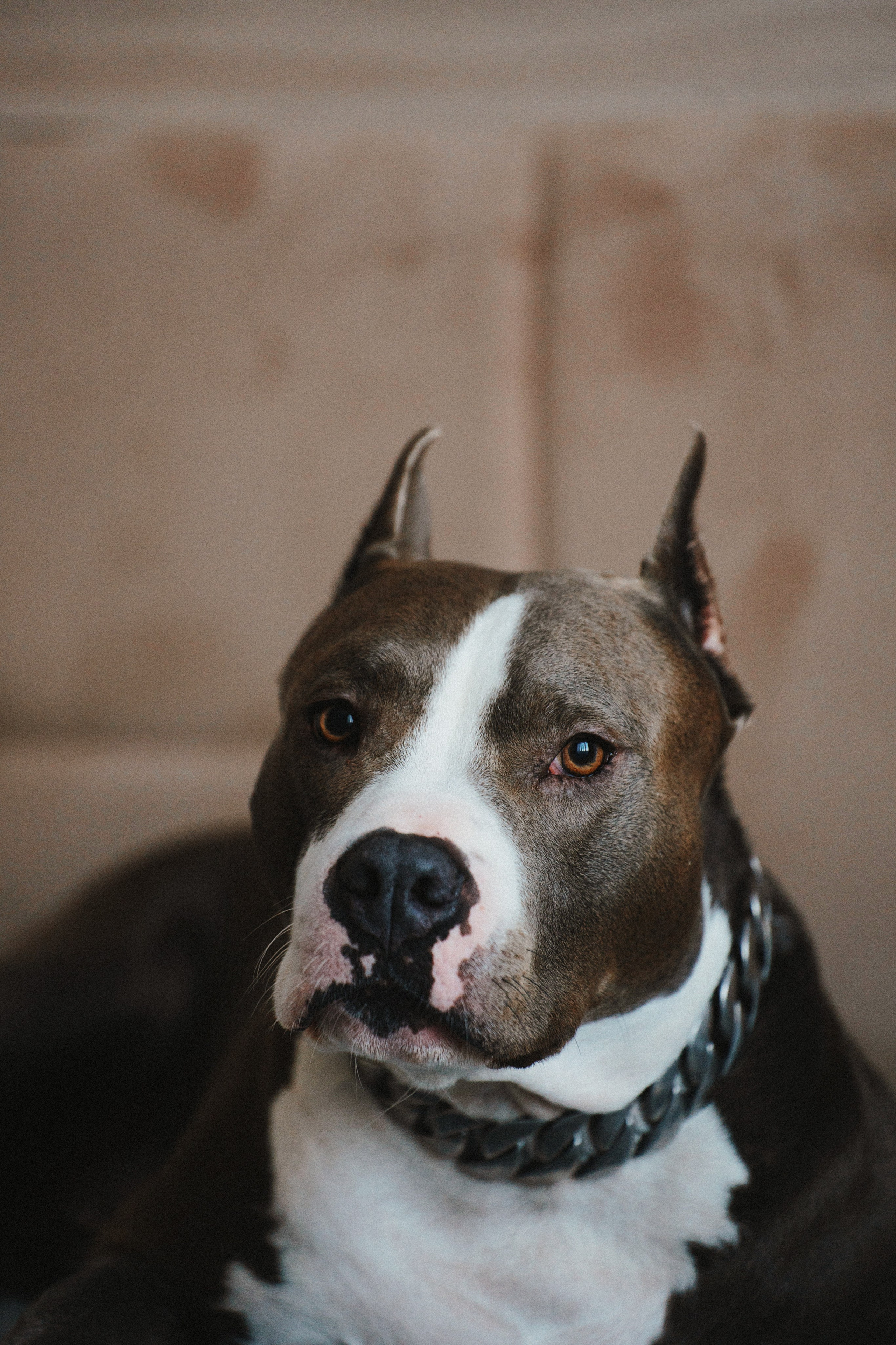 Семейные. Фотограф Сибирика (Ирина Кузнецова), Санкт-Петербург и ЛО — портреты, свадьбы и семейные съемки. Творческий подход и качественные фото