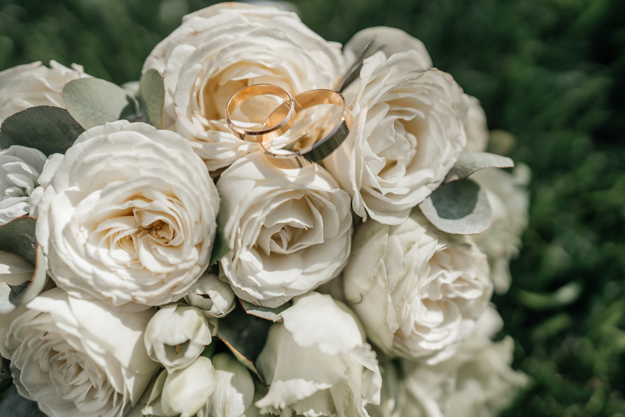 Ильяс и Катя. Главная