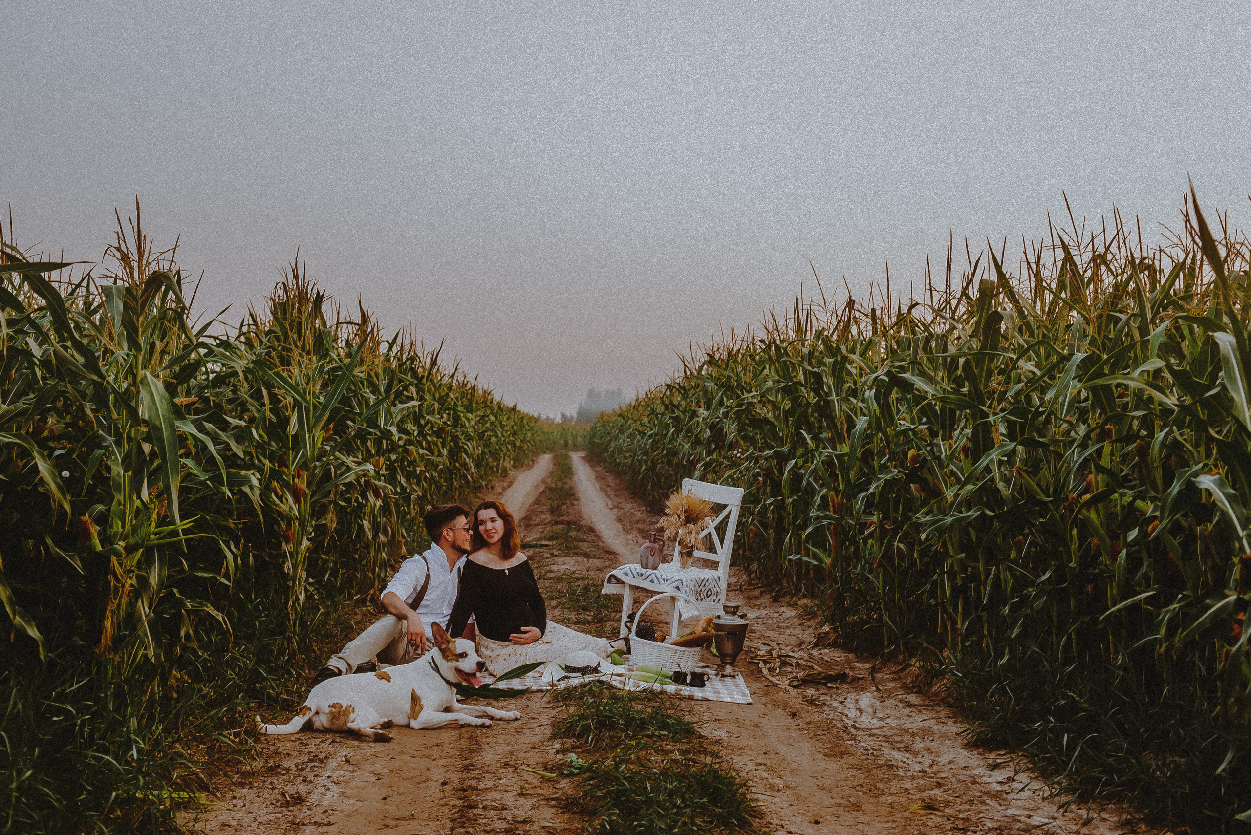 Кукуруза. Свадебный и семейный фотограф в Москве Сажина Кристина КиМ. Свадебный оператор в Москве Сажин Максим