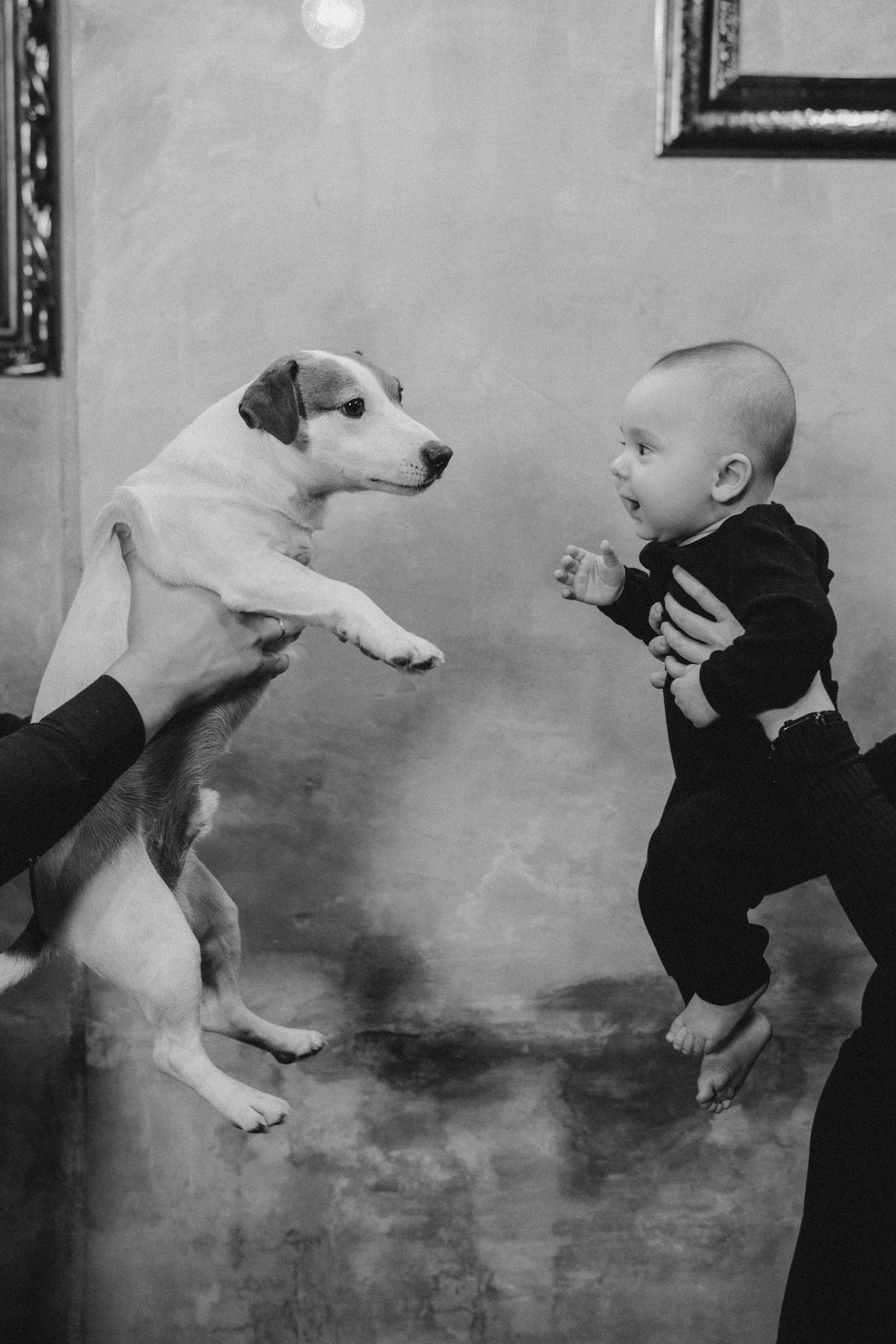 С+К=Л. Свадебный фотограф в Новосибирске Анастасия Бантик