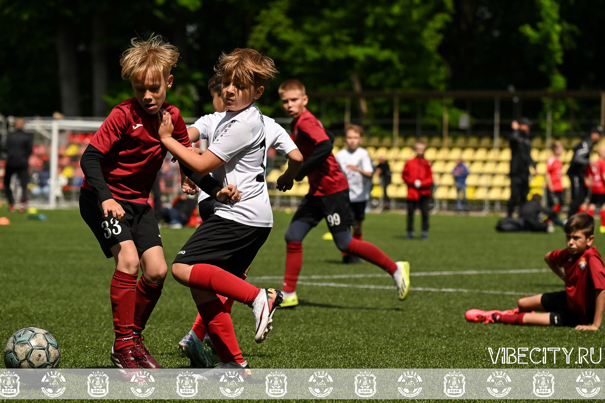 Большие Звезды светят Малым. VIBECITY.RU Вайб Сити Ру Фоторепортажи Фотоотчеты Калининград