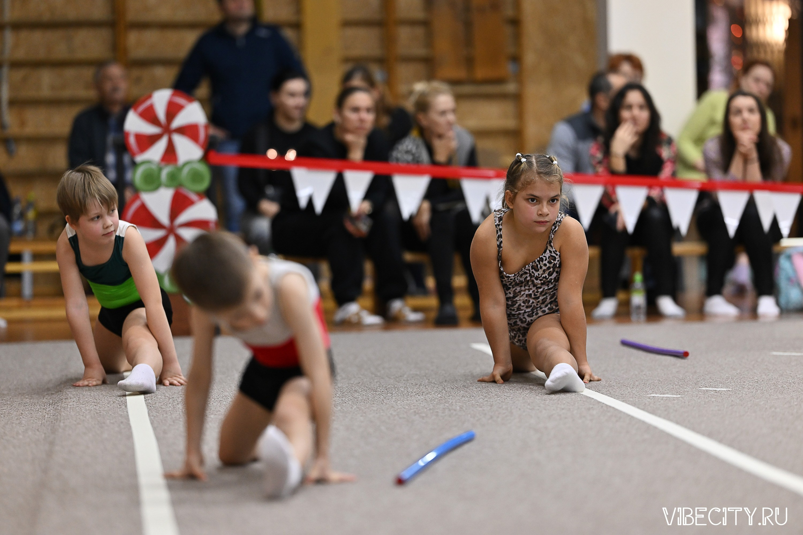 Контрольная тренировка по спортивной гимнастике. VIBECITY.RU Вайб Сити Ру Фоторепортажи Фотоотчеты Калининград