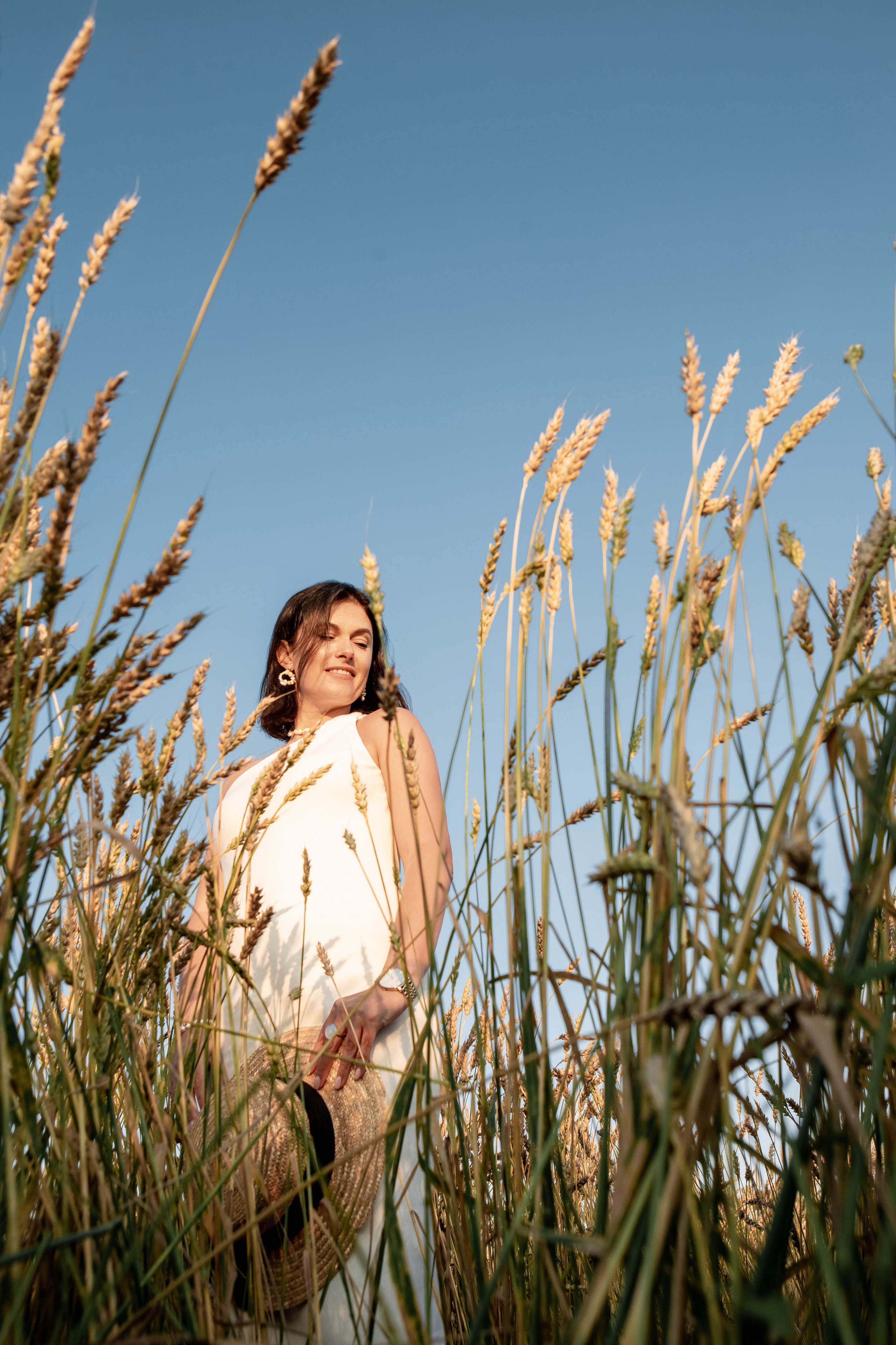 Пшеница на закате. Фотограф Екатерина Голицына
