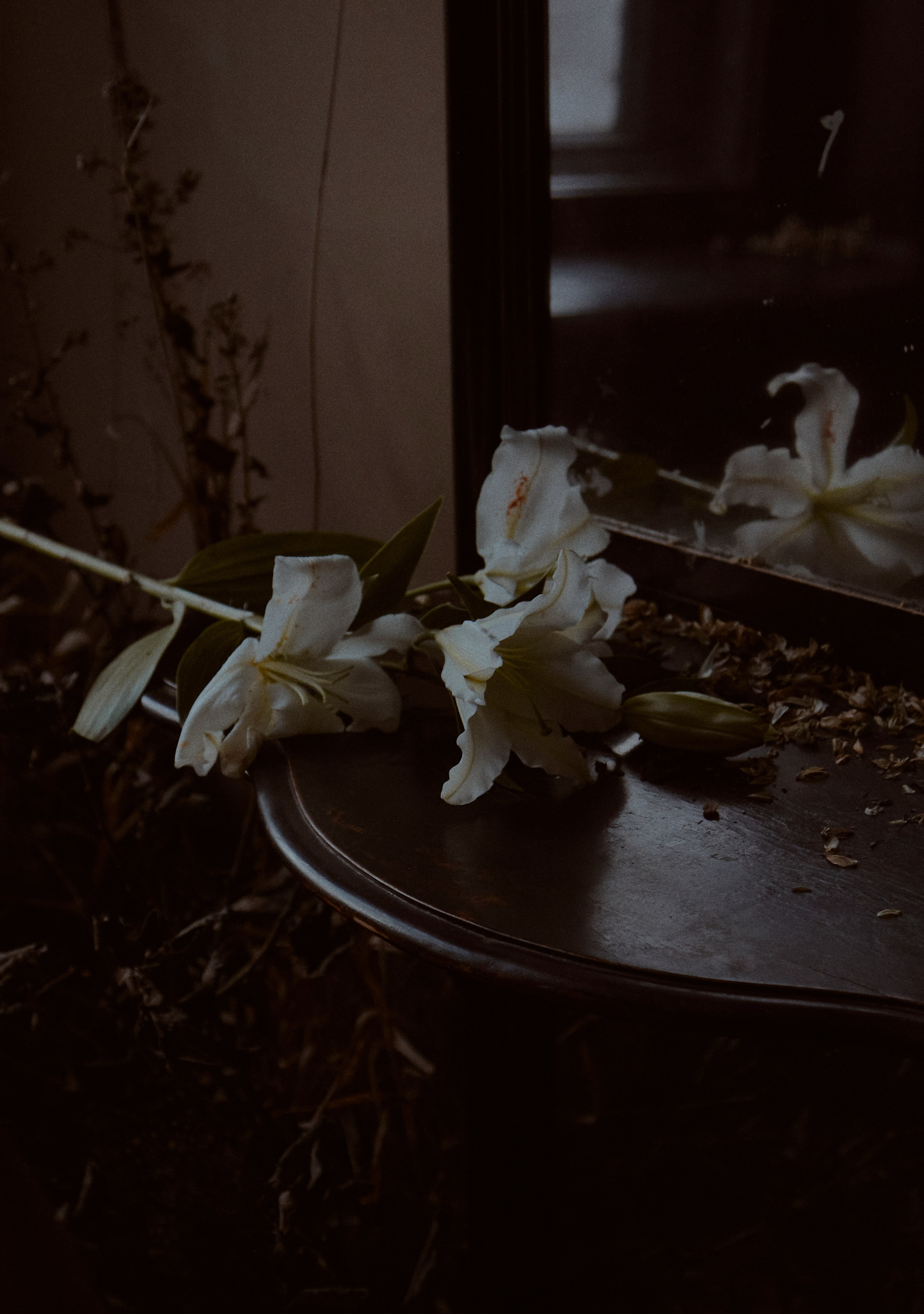 Сила. Фотограф лавстори Москва/МО Приятелева Ангелина