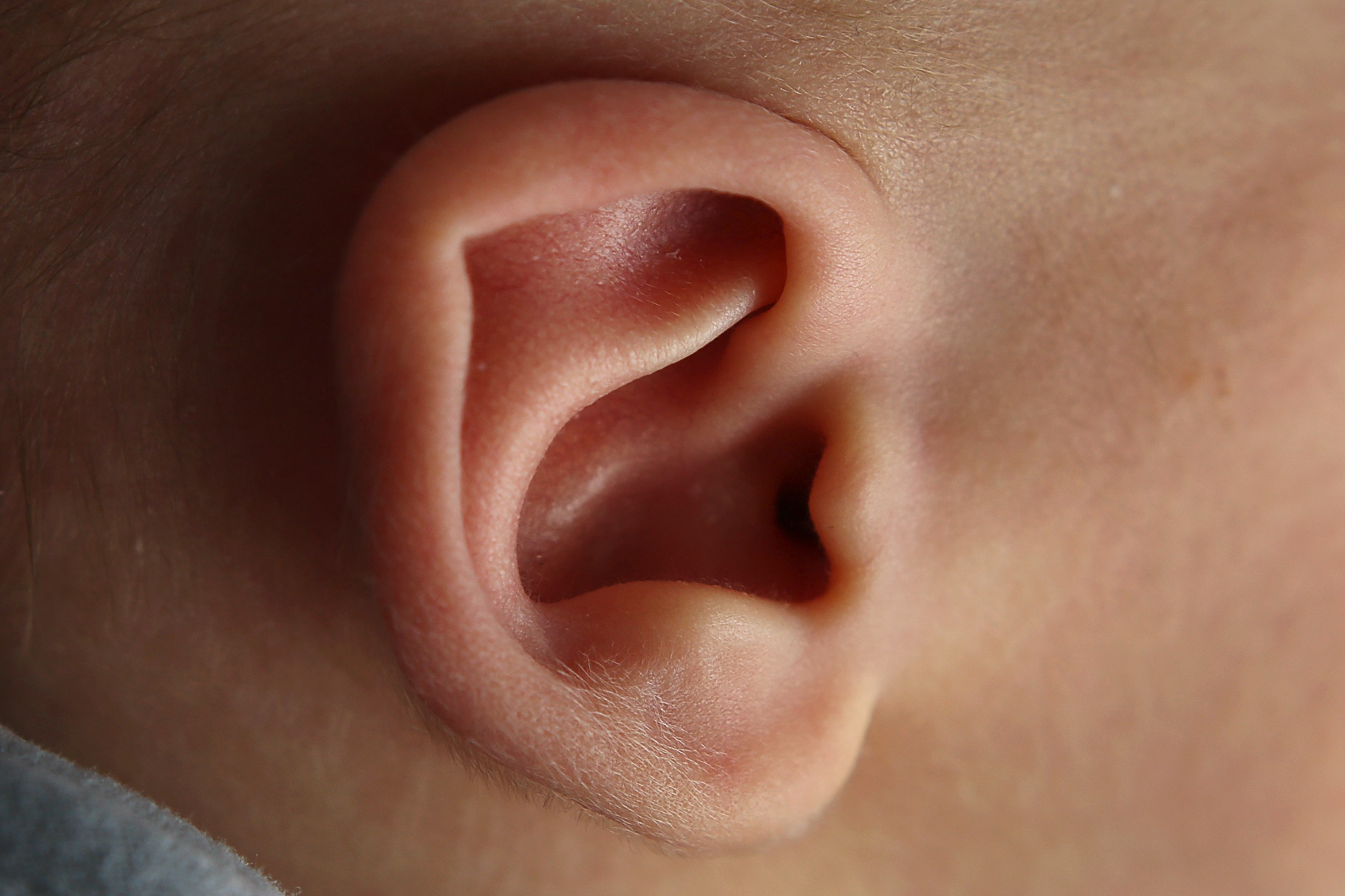 Арсений (новорожденный). Главная