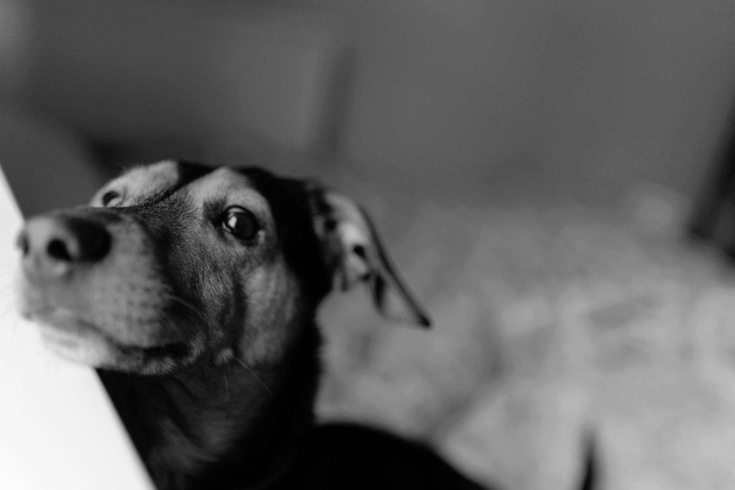 Проект «частный тихий репортаж». Портретный и репортажный фотограф Настя Климачева