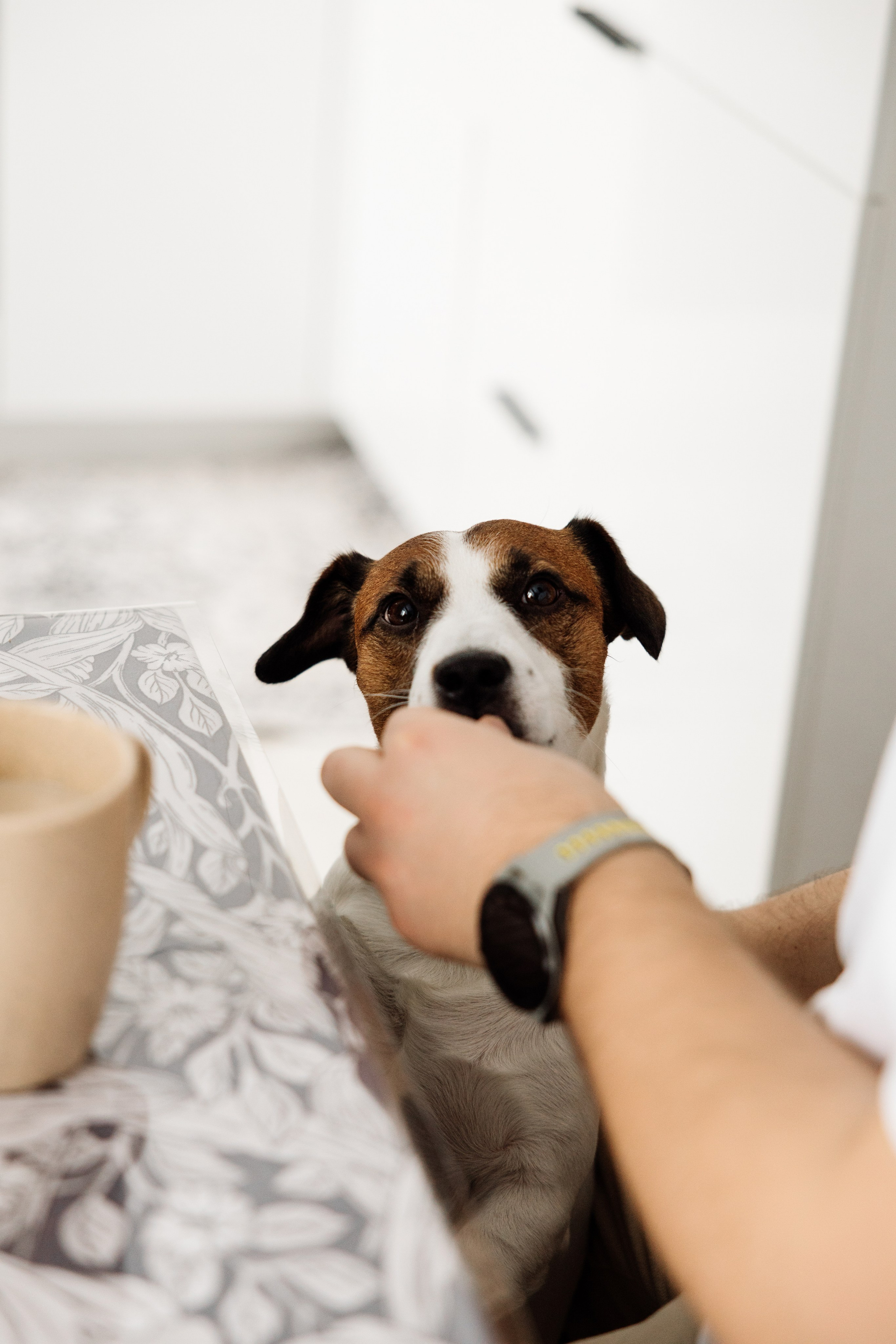 Лена и Саша