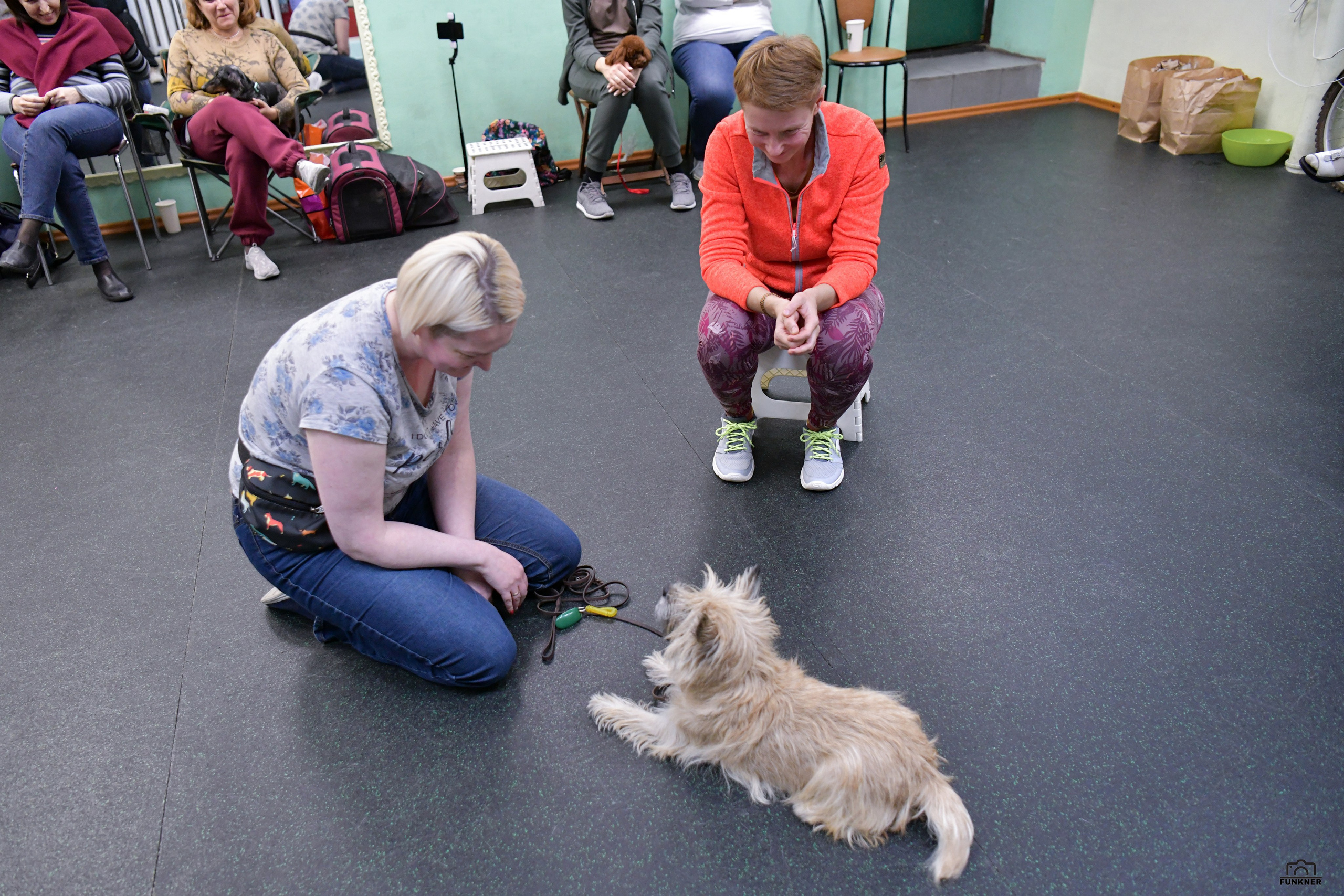 Кинологический клуб «Бодрый хвост». Свой взгляд через объектив