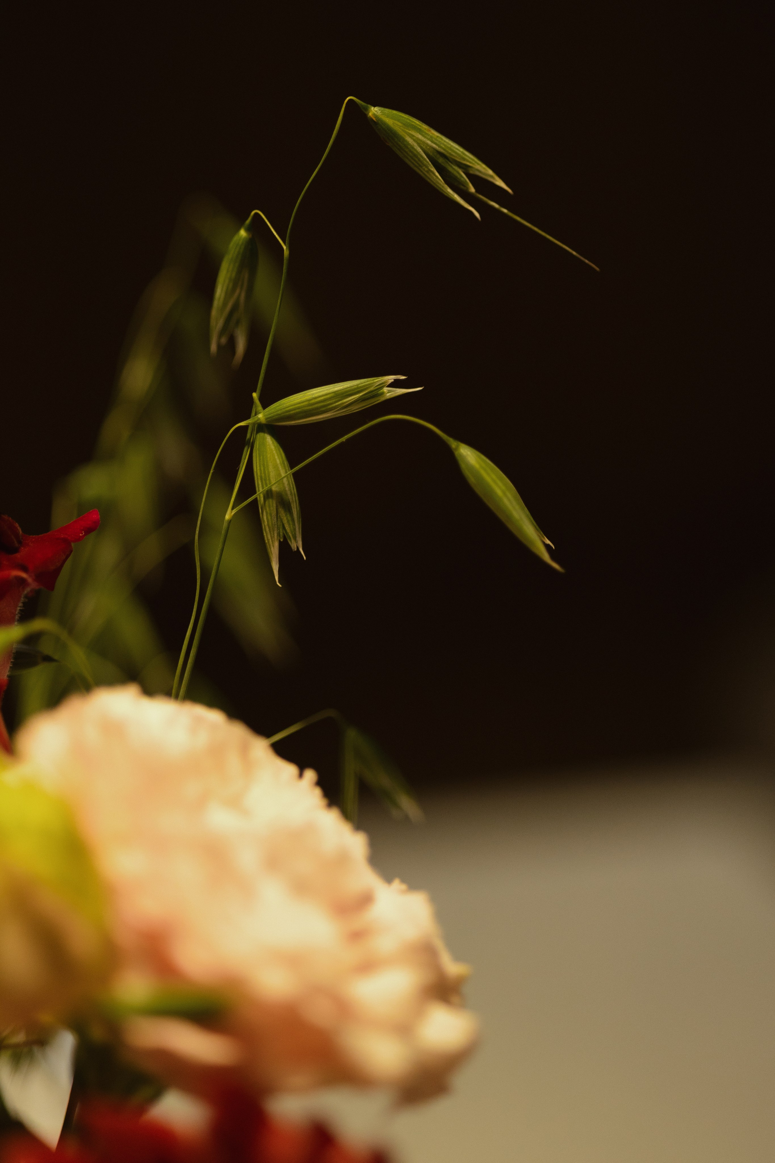 I&M. Свадебный фотограф Лиза Макатович Беларусь Минск