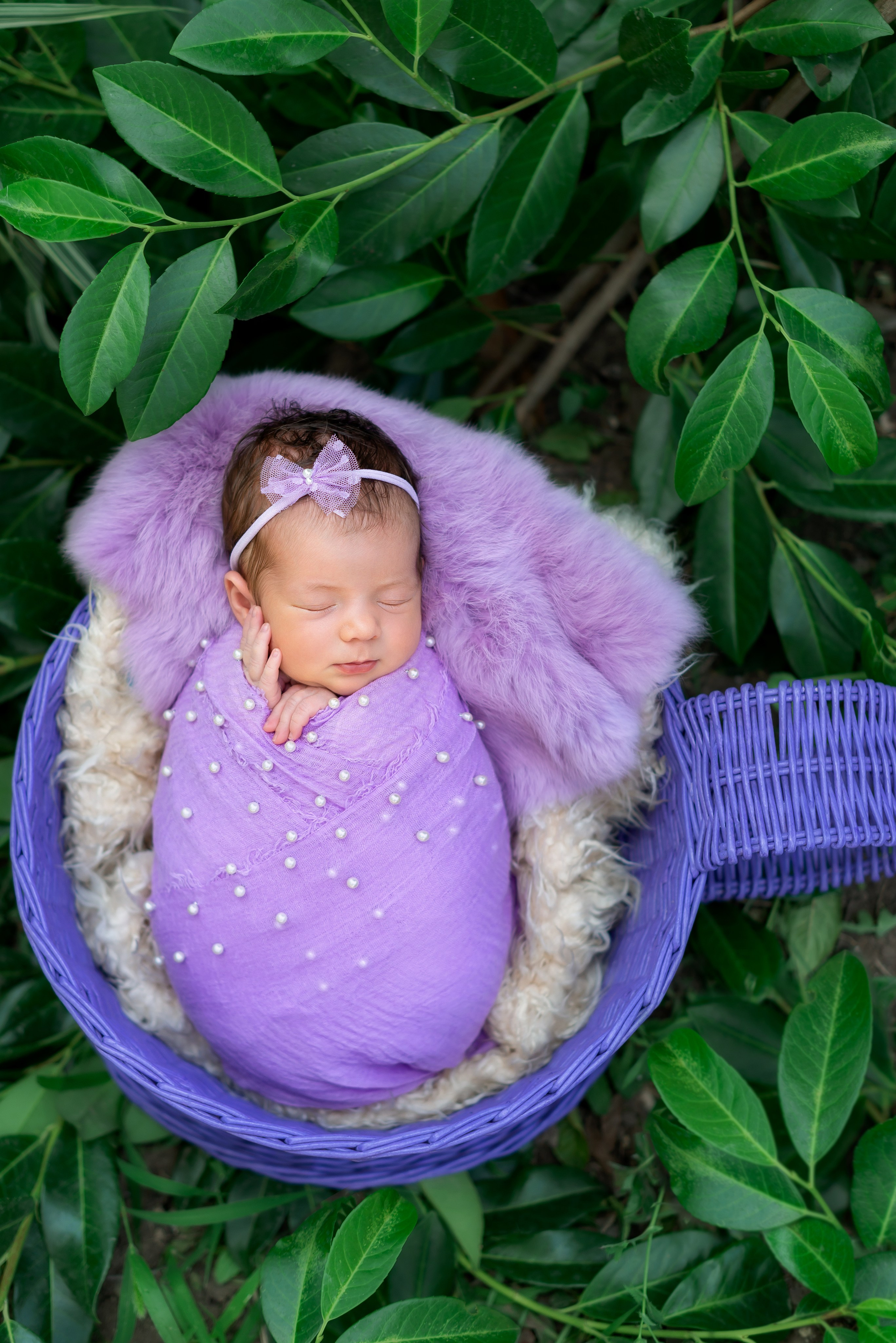 Диана. Детская фотостудия «Мандаринка» | Детский фотограф Краснодар