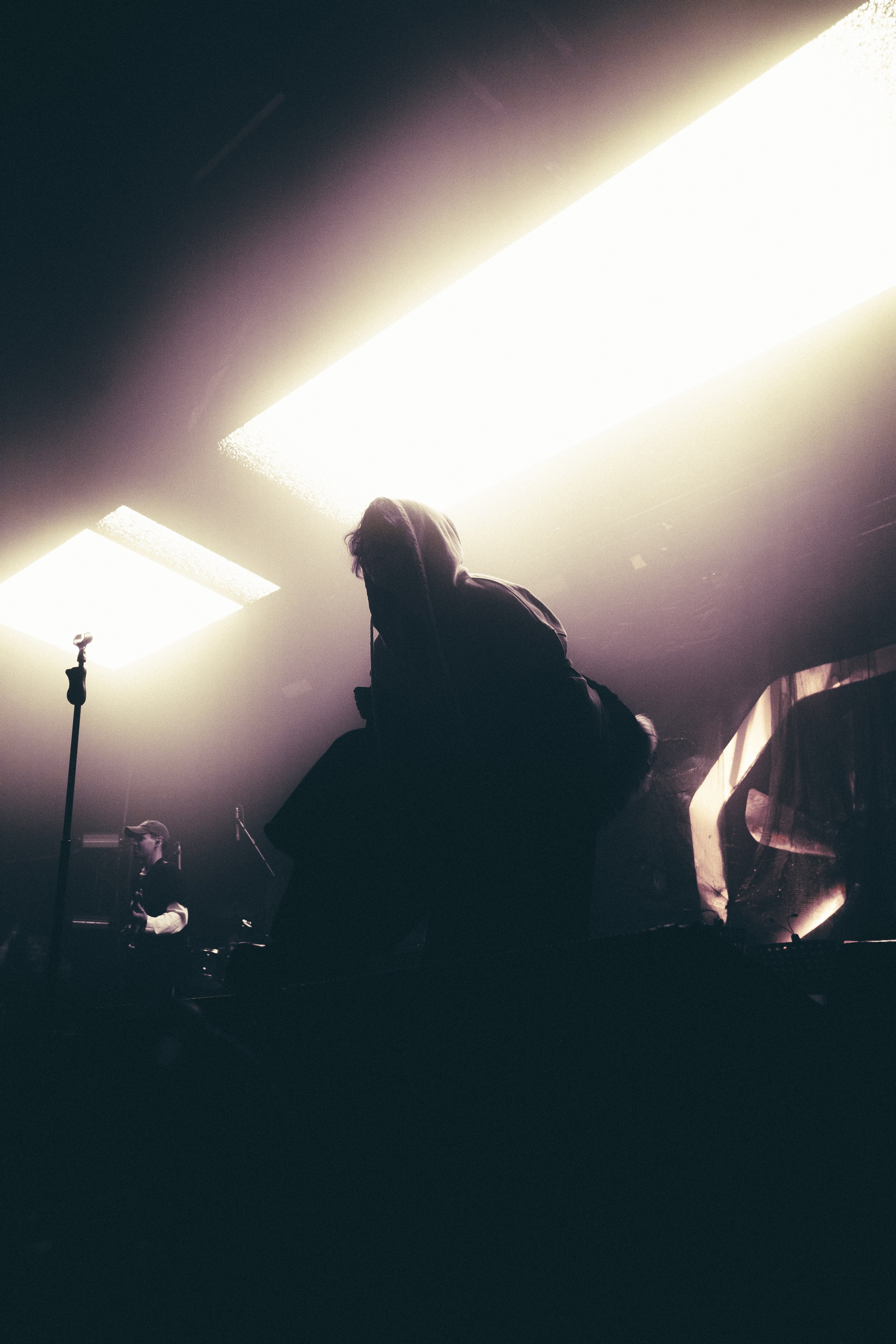 SALUKI. PASHAHARCE PHOTOGRAPHER & VIDEOGRAPHER