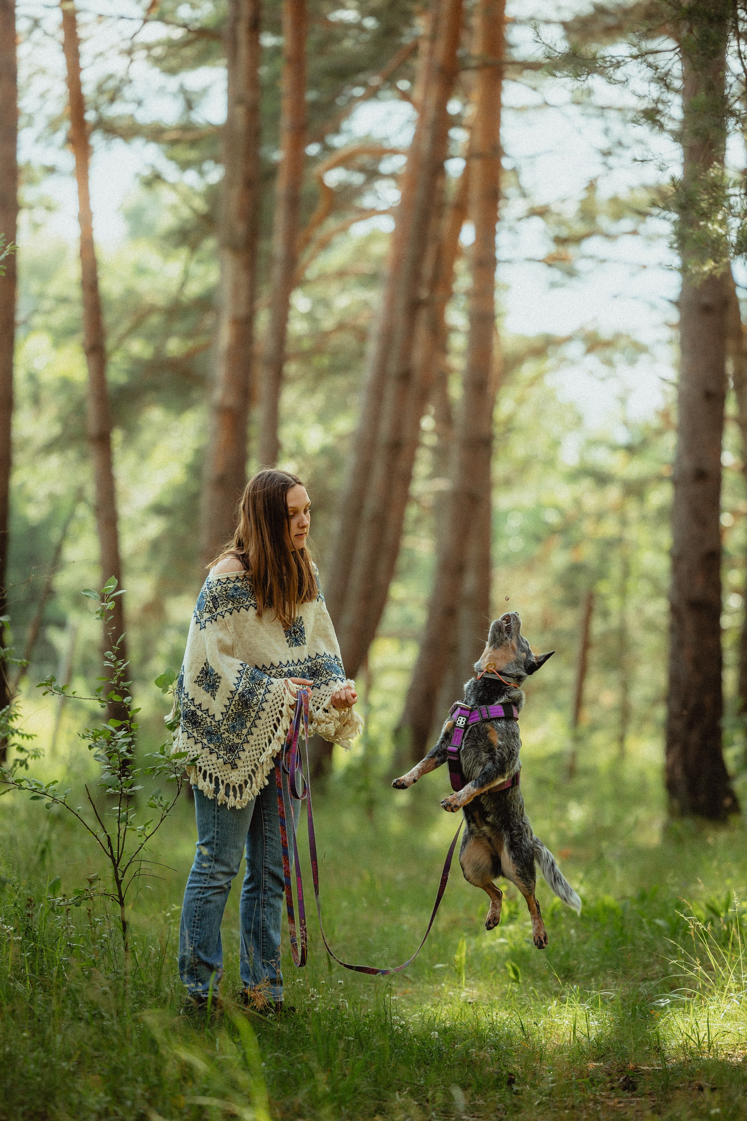 Выездной дог-тренинг от школы «Шерсть имею»