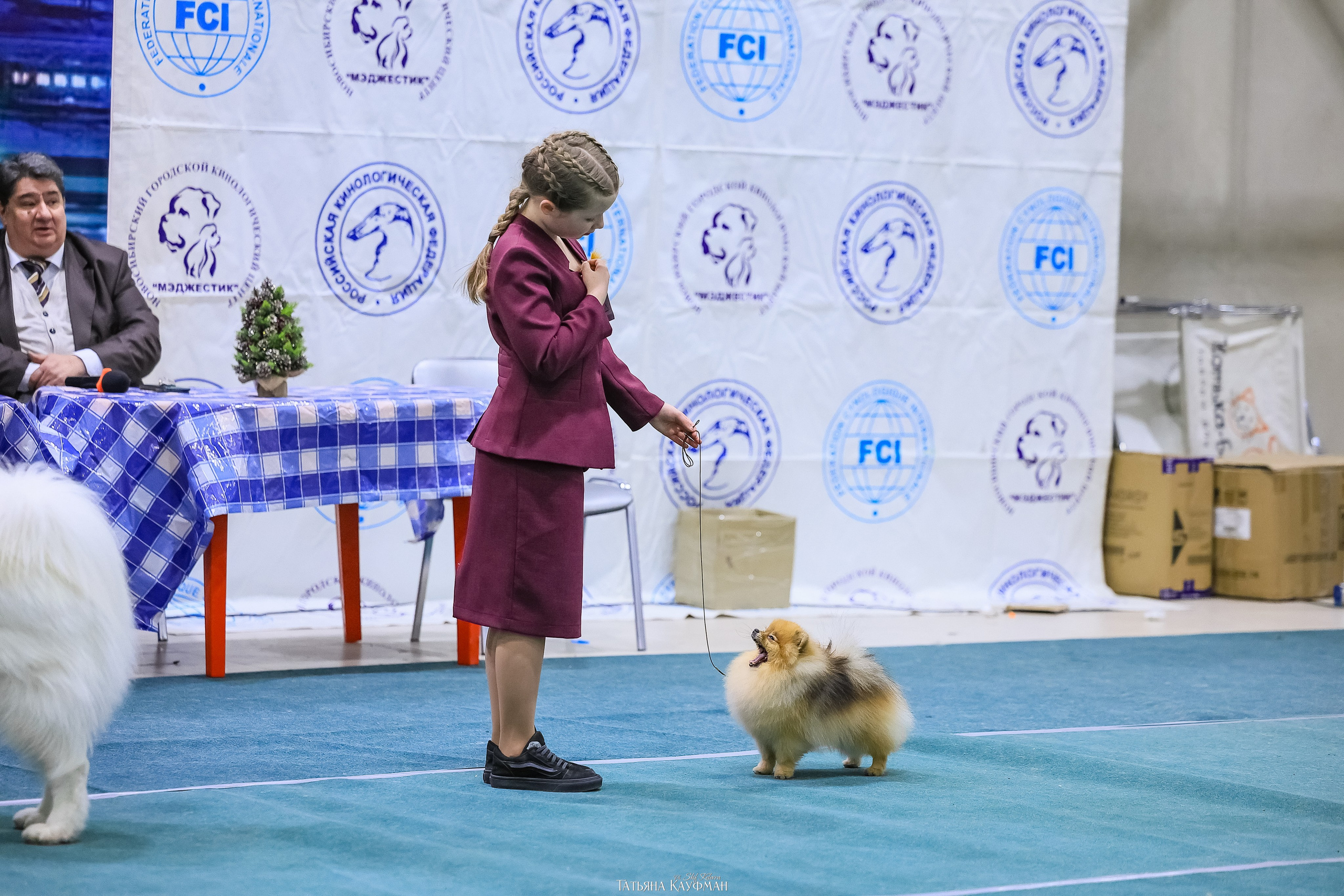 6-7.12.25 — 1-4 Национальные выставки собак в Новосибирске (2х рейтинговые). Фотограф Анималист из Новосибирска Татьяна Кауфман