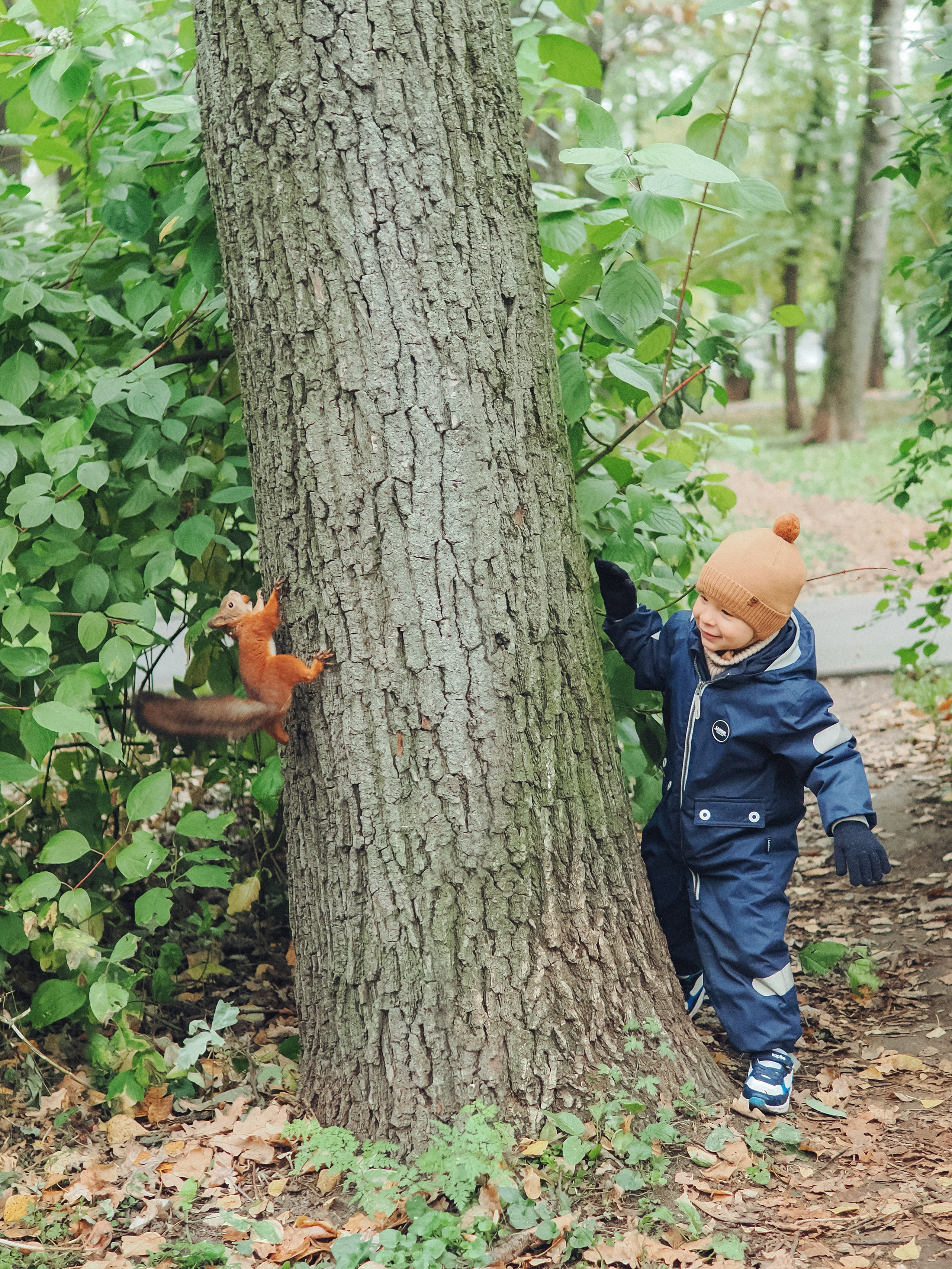 В поисках белки). Фотограф в Москве — Сергей Люкшинов