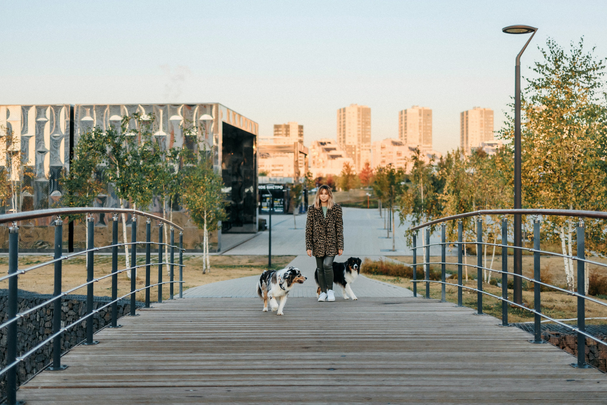 Аня, Чарли и Ева. Фотограф-анималист Елена Радченко, Москва