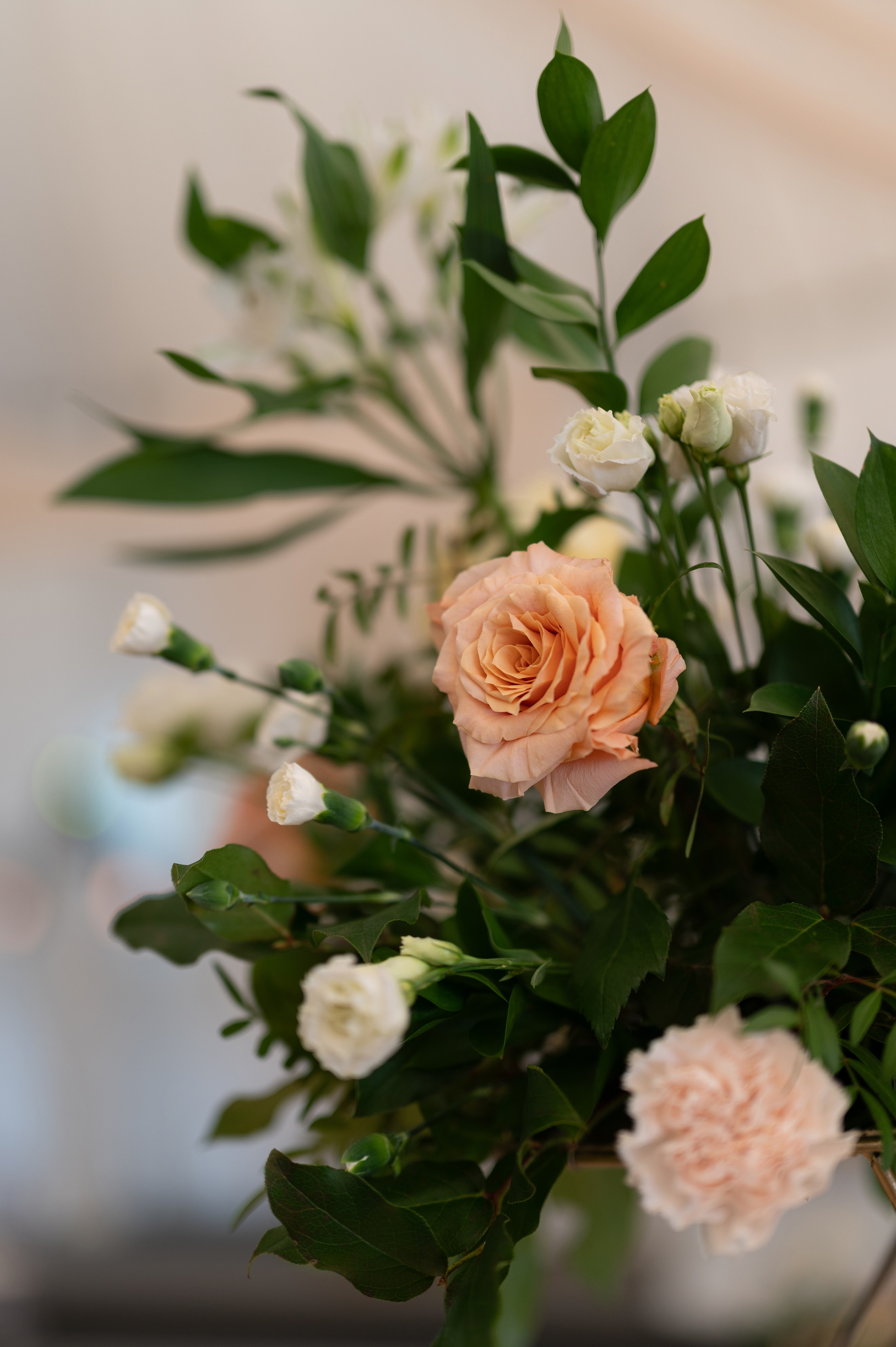 Виталия и Анастасия. Организатор Романова Любовь