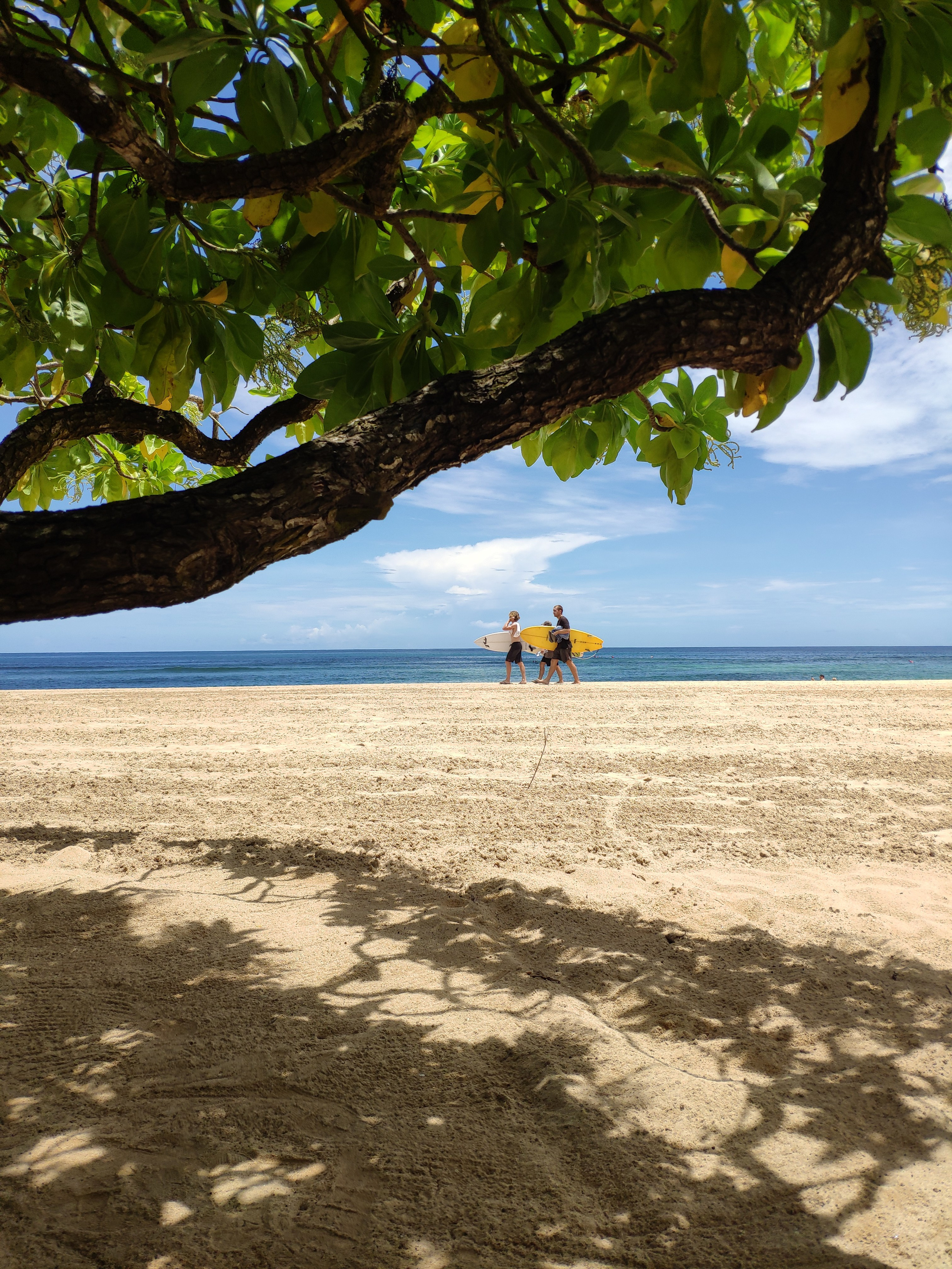 Indonesia (Bali Island). Фотограф Алексей Федорищев