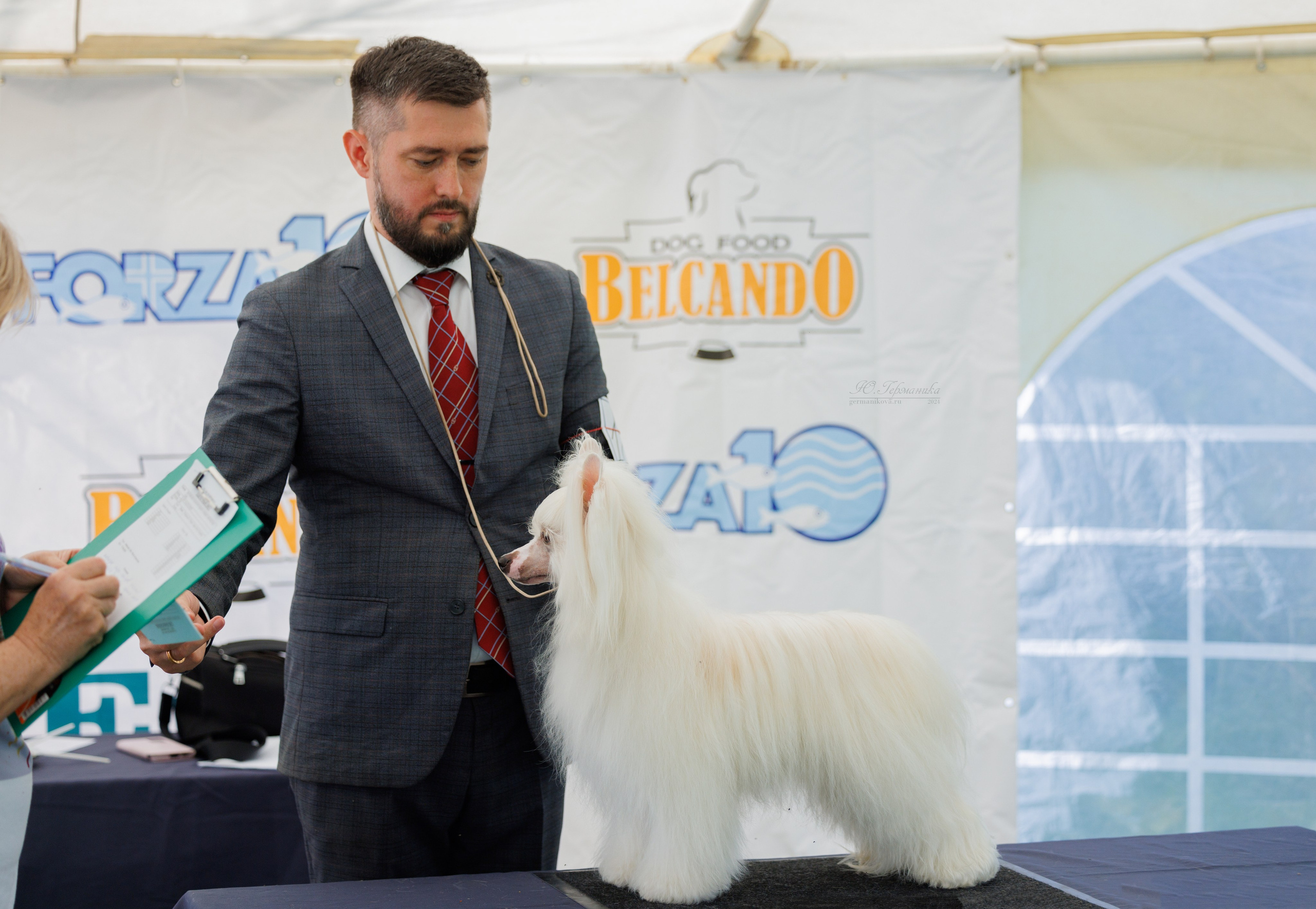 Астана 2хCACIB 17-18.08.2024. Фотограф-анималист Юлия Германика