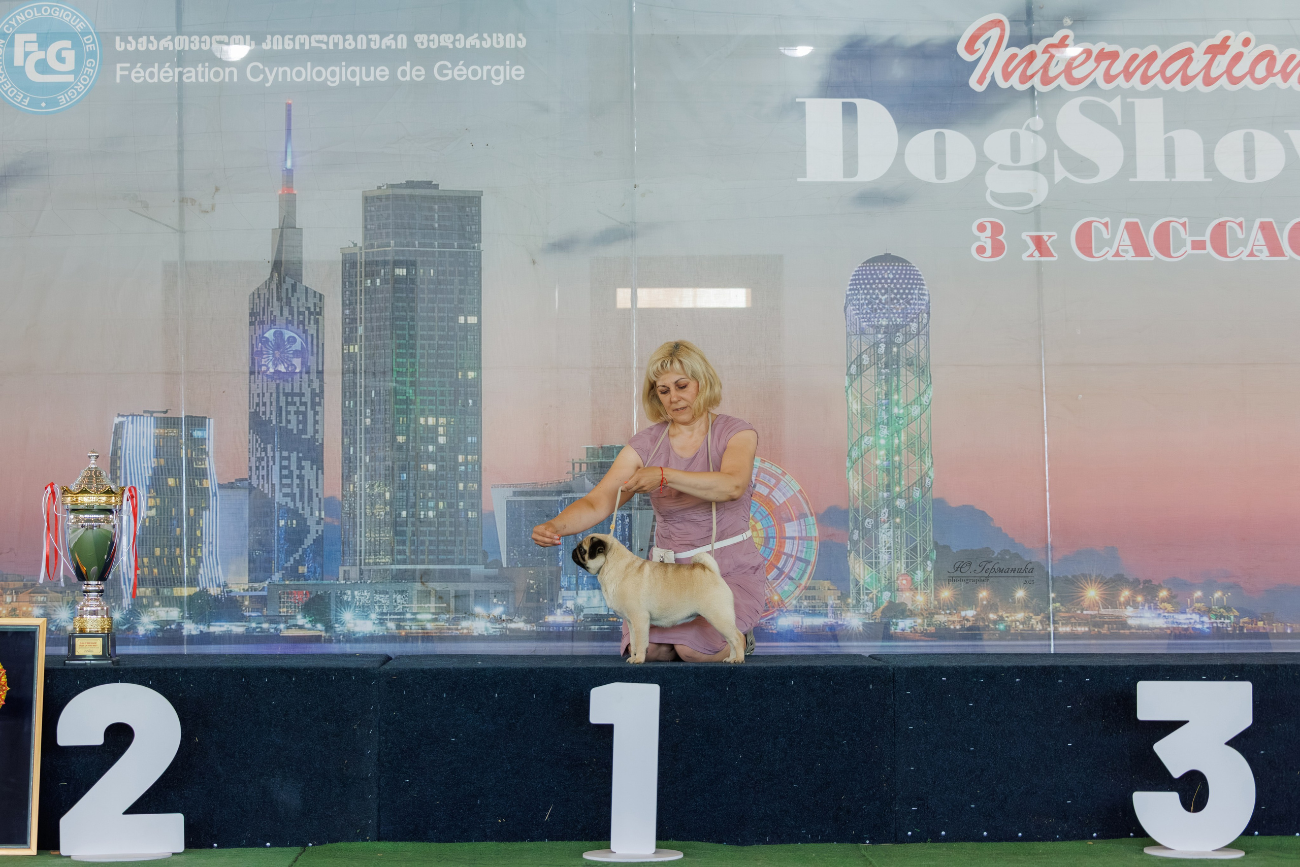 Батуми 3хCACIB 27-29.06.2025. Фотограф-анималист Юлия Германика