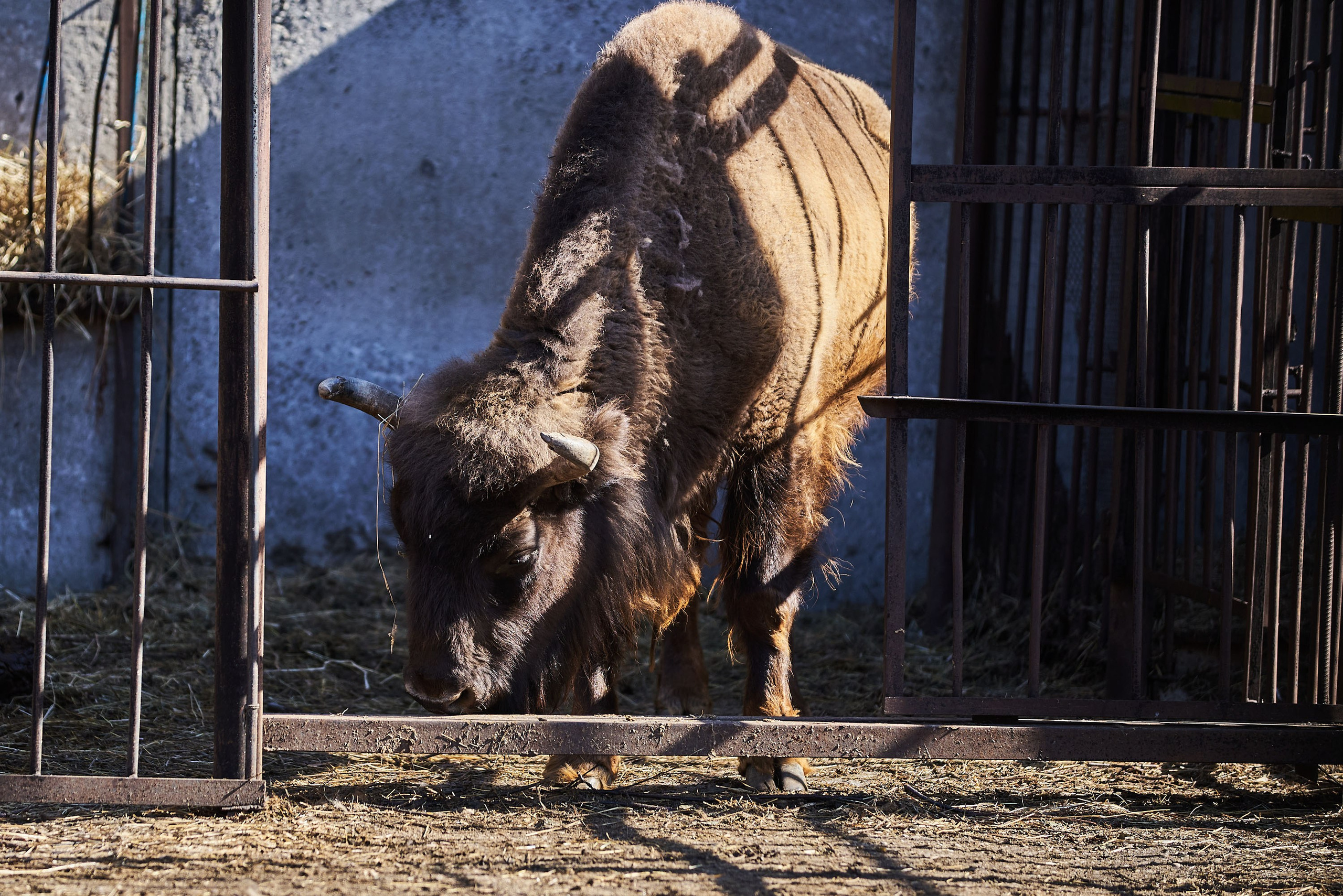 Зоопарк Иваново. Фотограф в Иваново: Каталожная съемка одежды и постельного белья, Wildberries