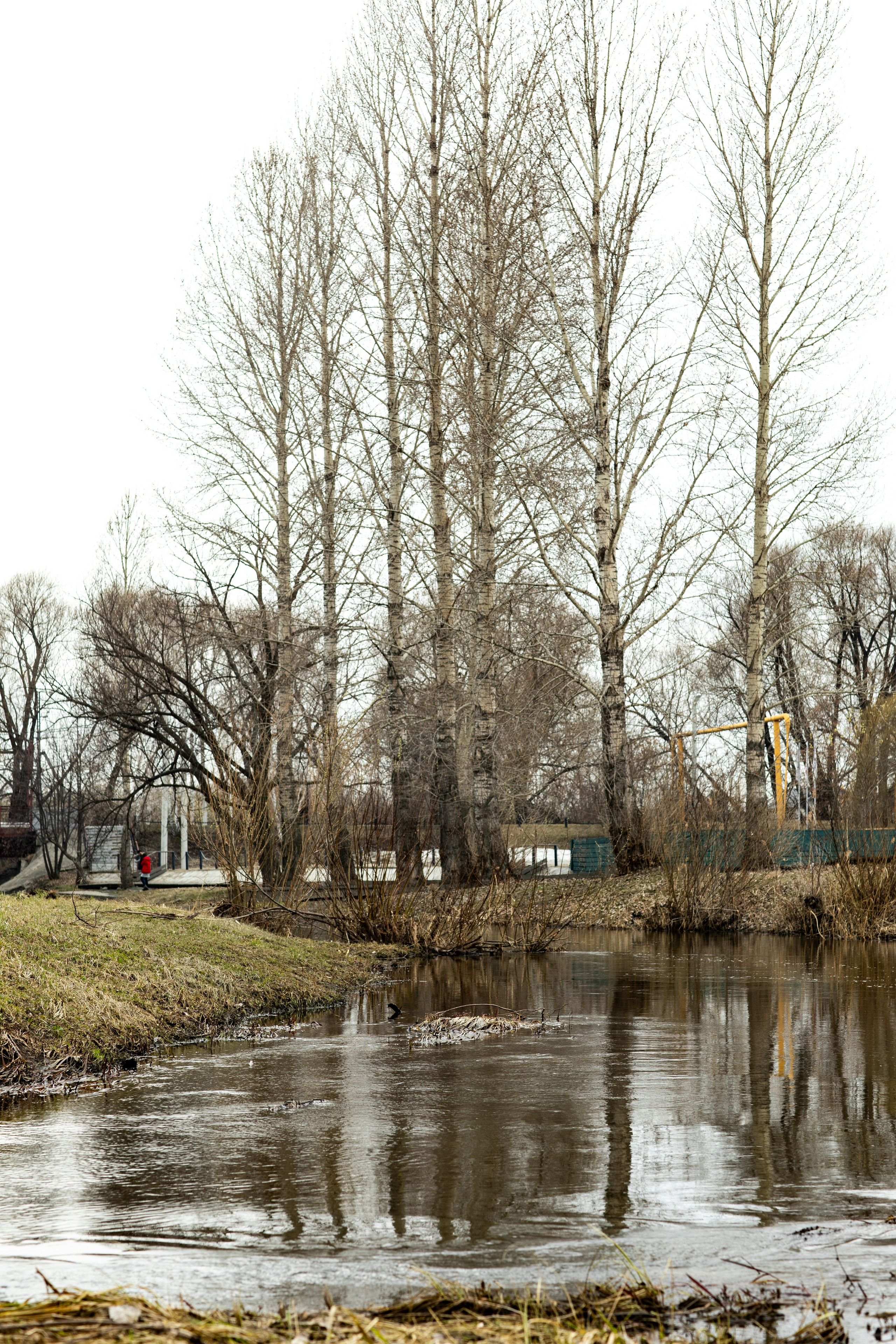 Фотопрогулки и сопровождение. Счастливый кадр