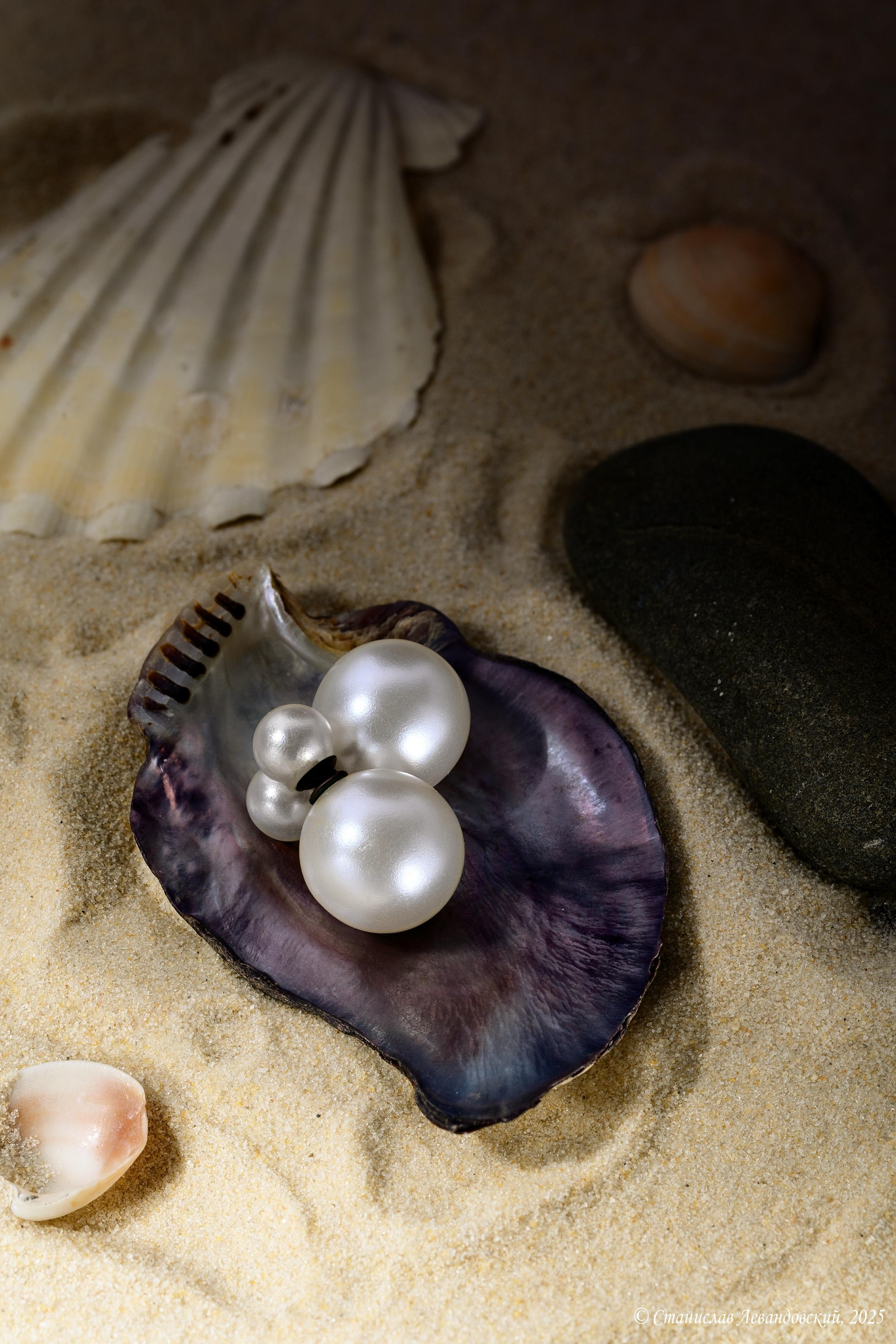 Предметы с глянцевой поверхностью. Предметный фотограф в Москве Станислав Левандовский