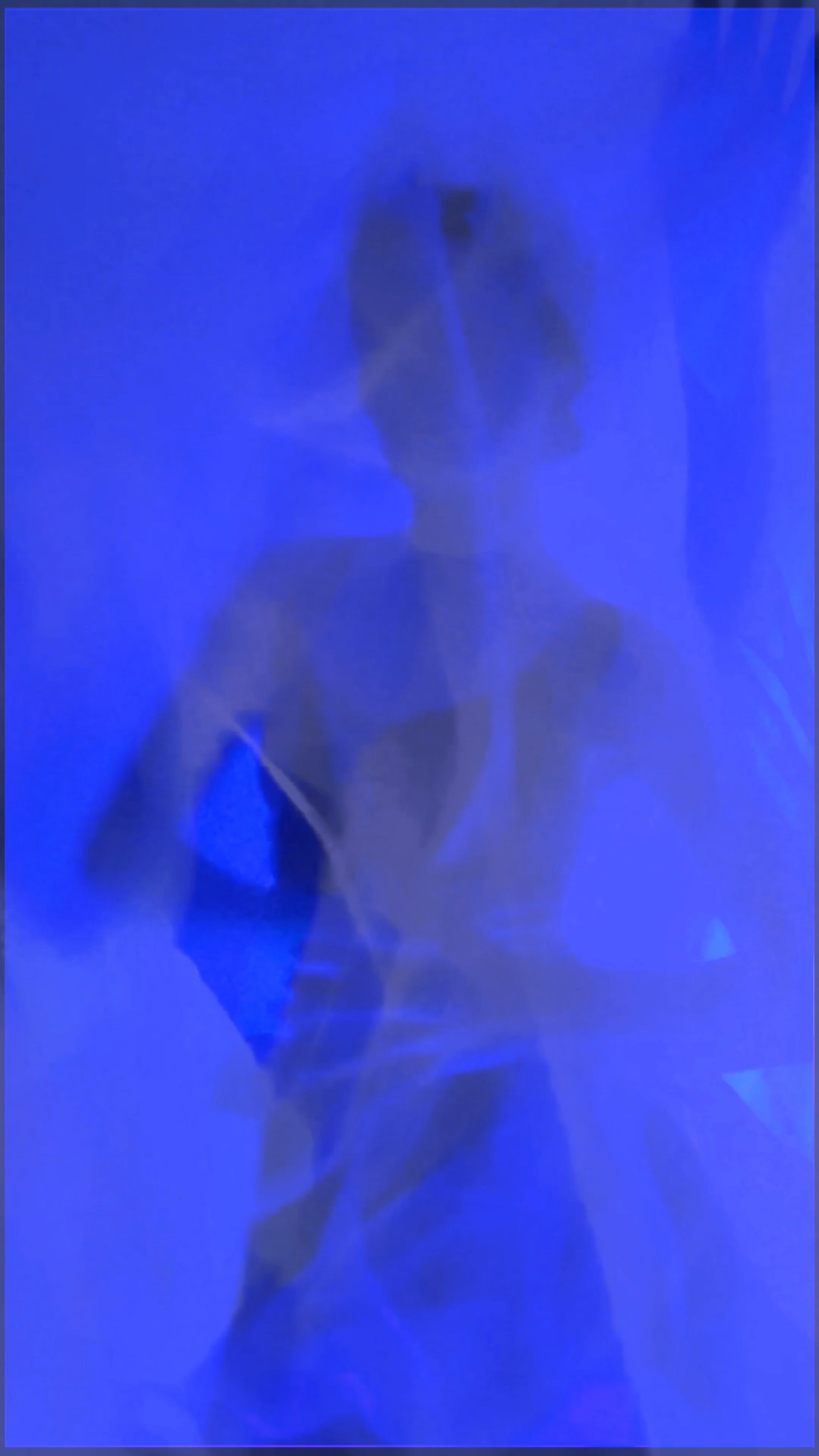 THE SAPPHIRE VEIL. Exclusive Closing Gifts for Top Realtors | Custom House Portraits by Yulia Yurchevskaya