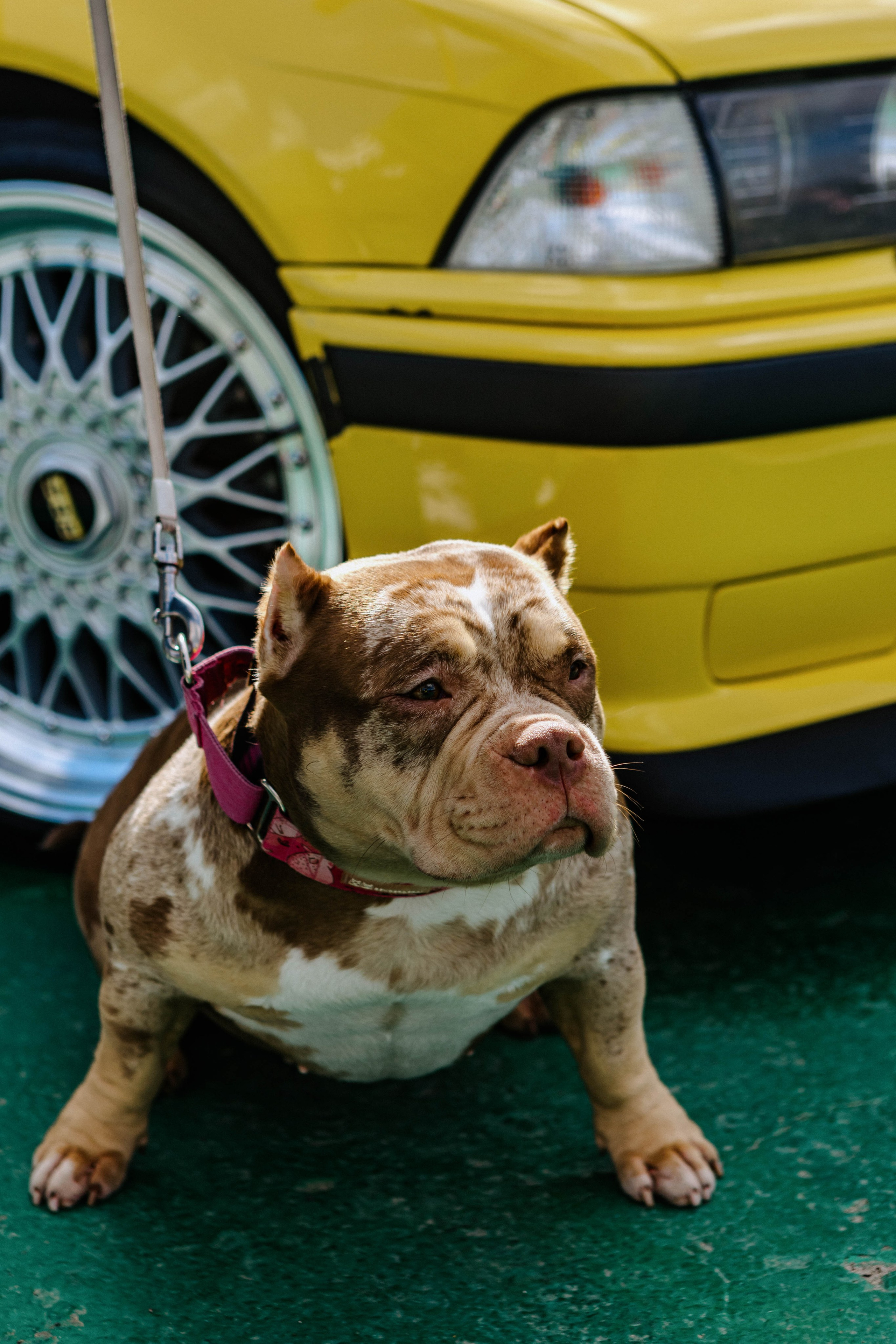 Открытие сезона 2024. Фотограф Александра Кузнецова