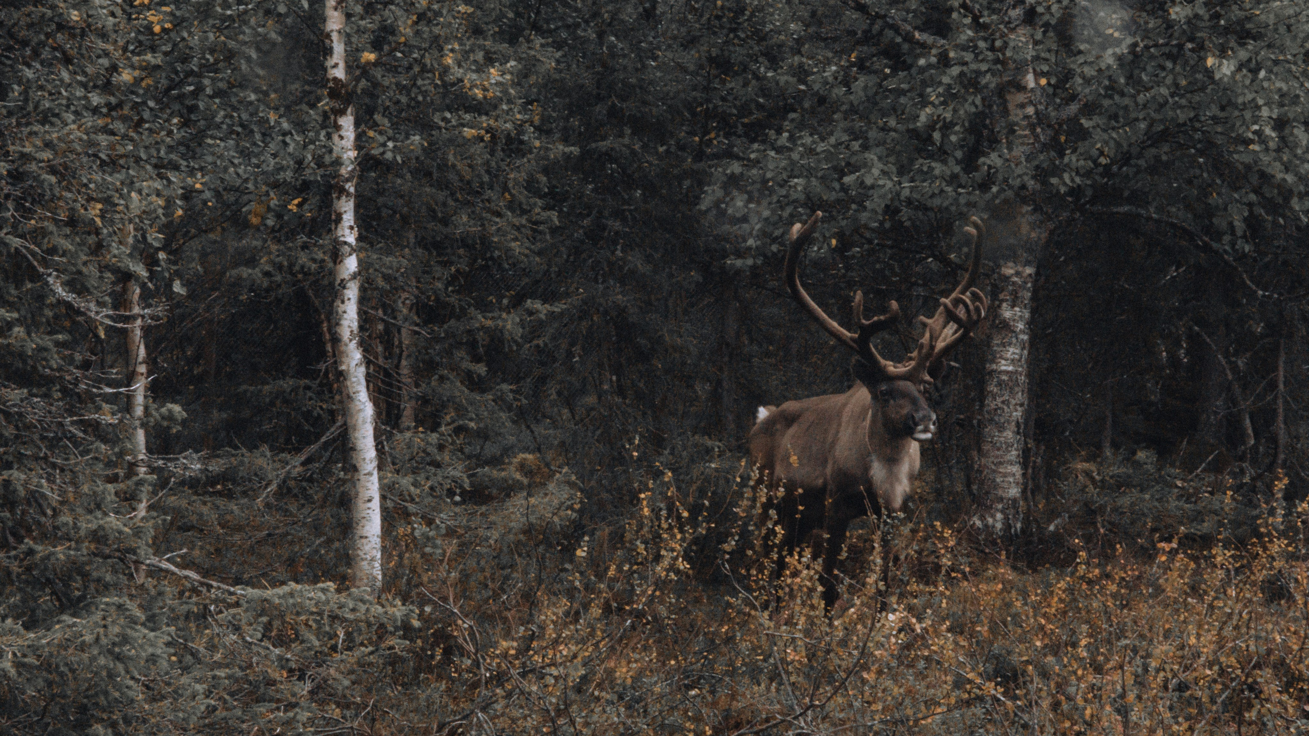 EXHIBITION. Репортажный и интерьерный фотограф, фотохудожник