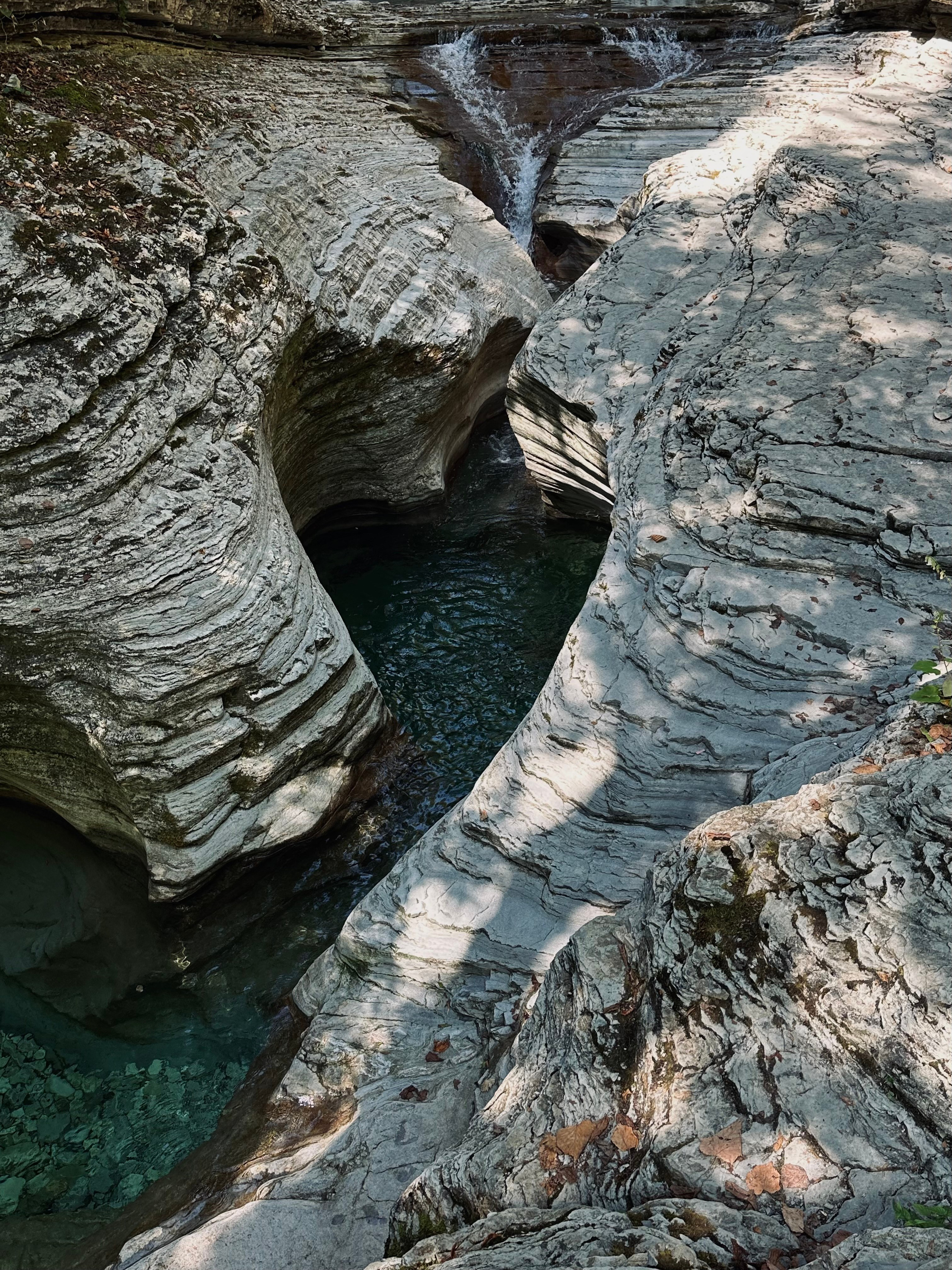 EXHIBITION. Репортажный и интерьерный фотограф, фотохудожник