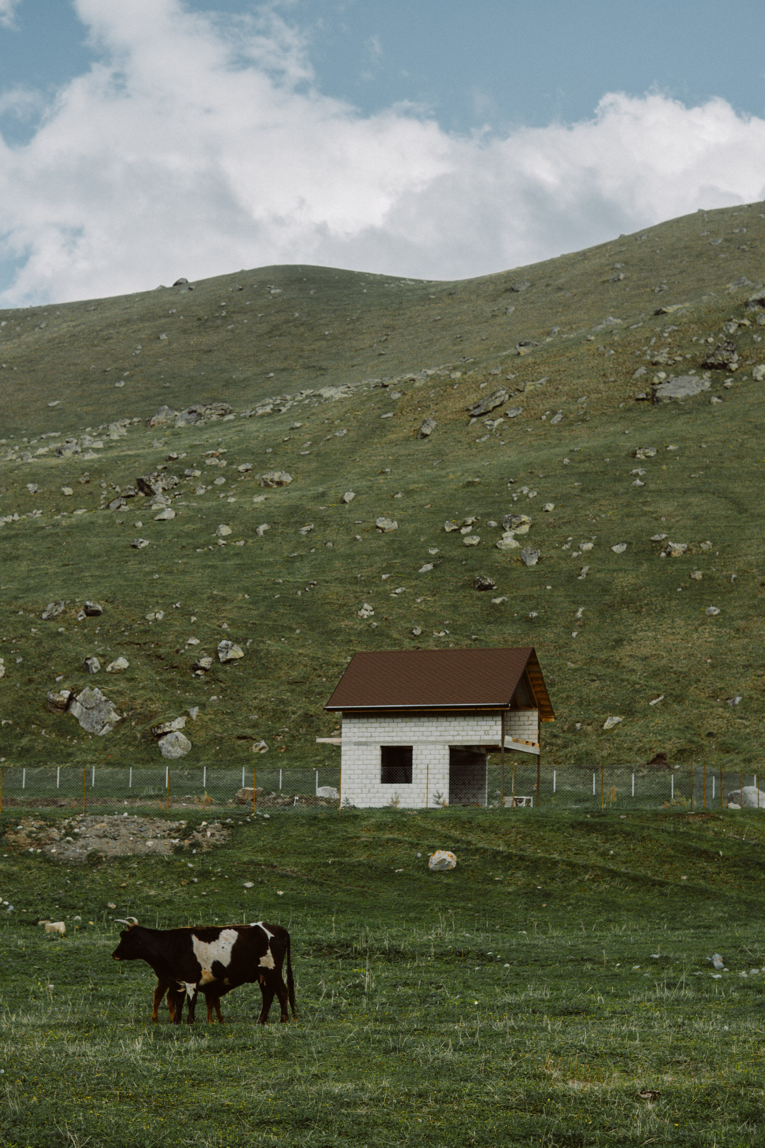 EXHIBITION. Репортажный и интерьерный фотограф, фотохудожник