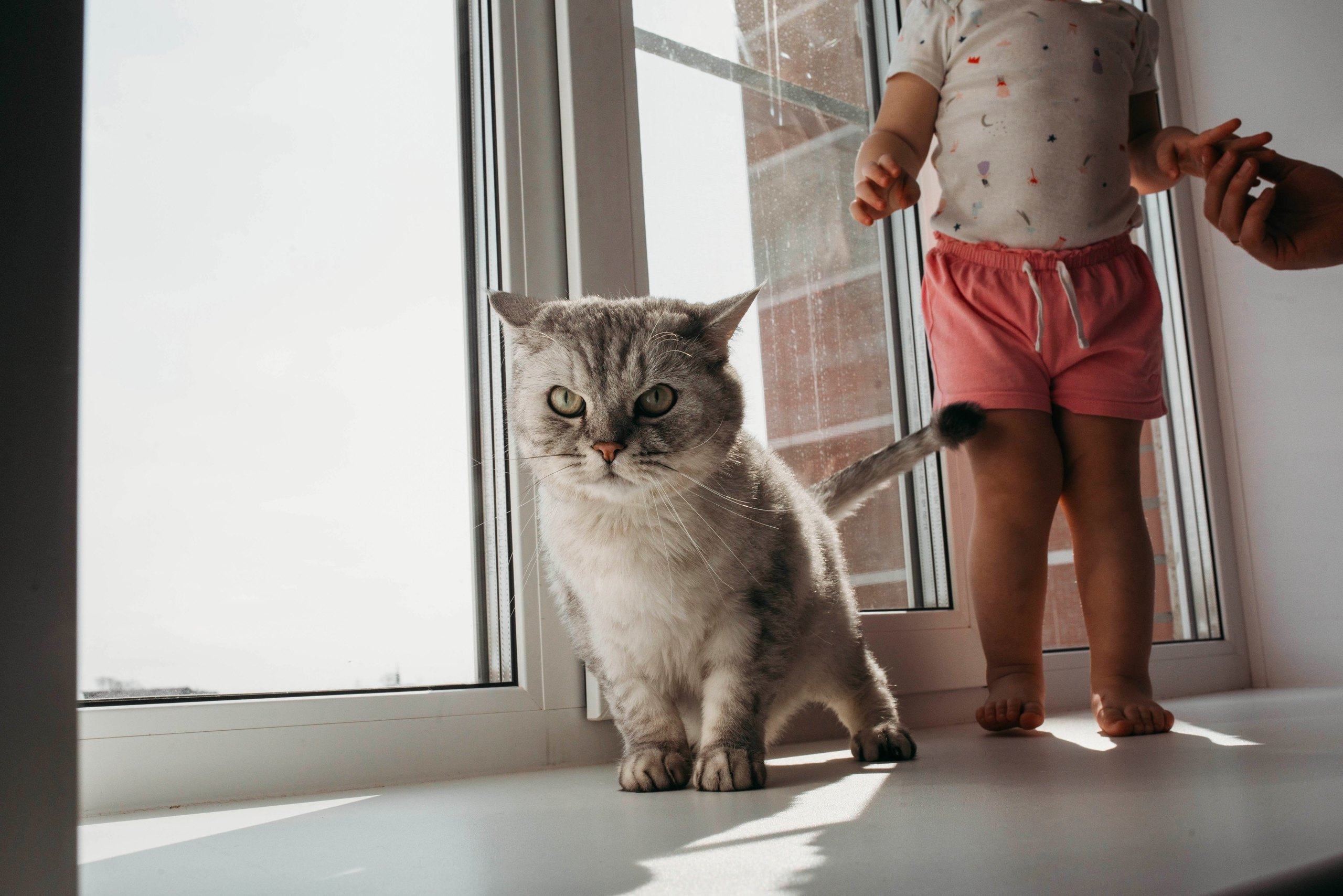 семейный фотограф хабаровск, семейная фотосессия хабаровск