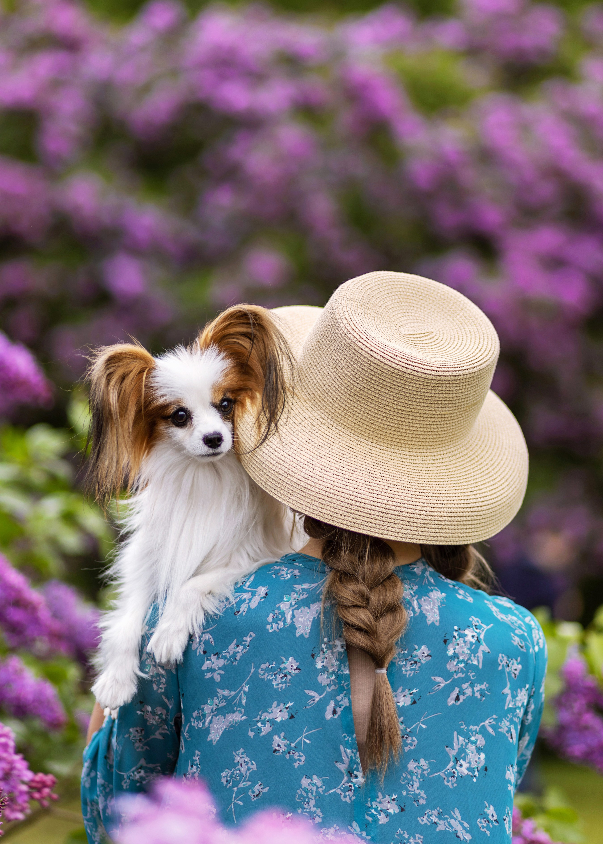 Прогулка в Сиреневом саду. Sysoevaoksana