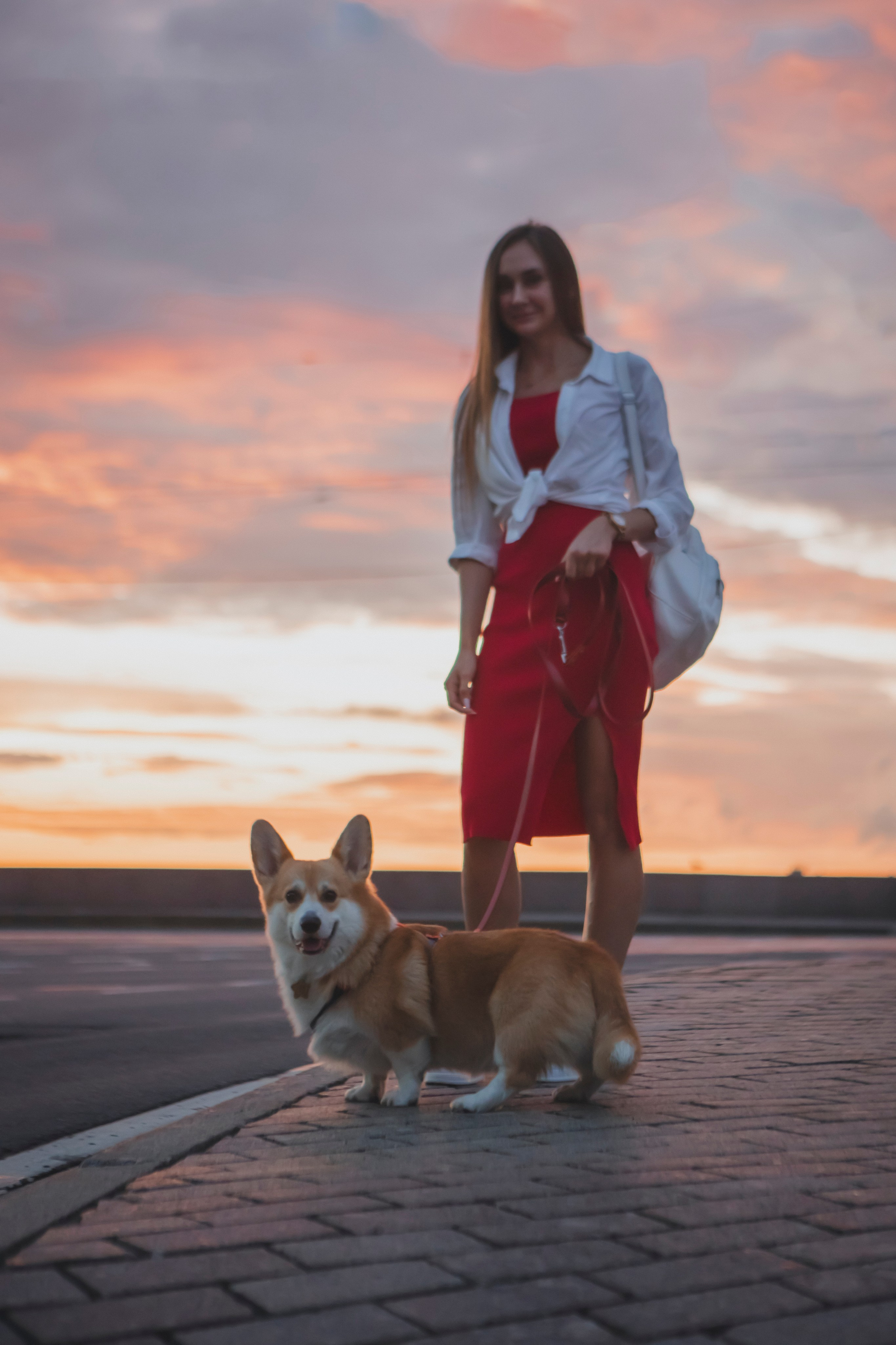 Настя и Стёпа. Фотограф-анималист в Санкт-Петербурге Алина Яхонт